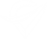 Voyza
