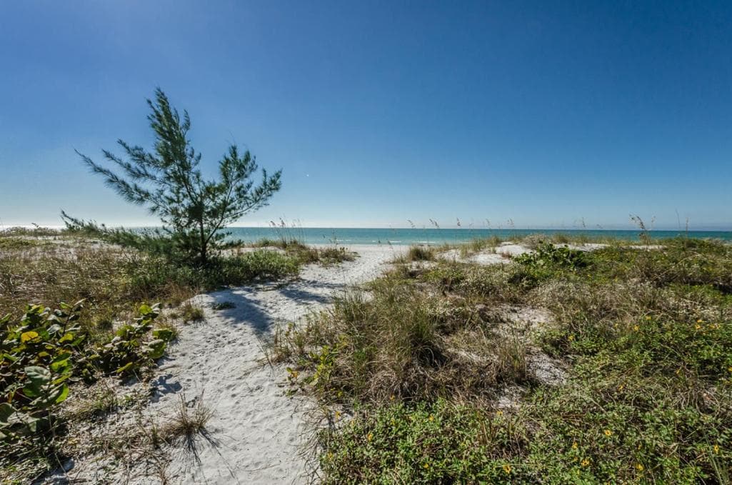 The New Hotel Collection Beachfront featured exterior or lobby in Clearwater Beach — similar hotel