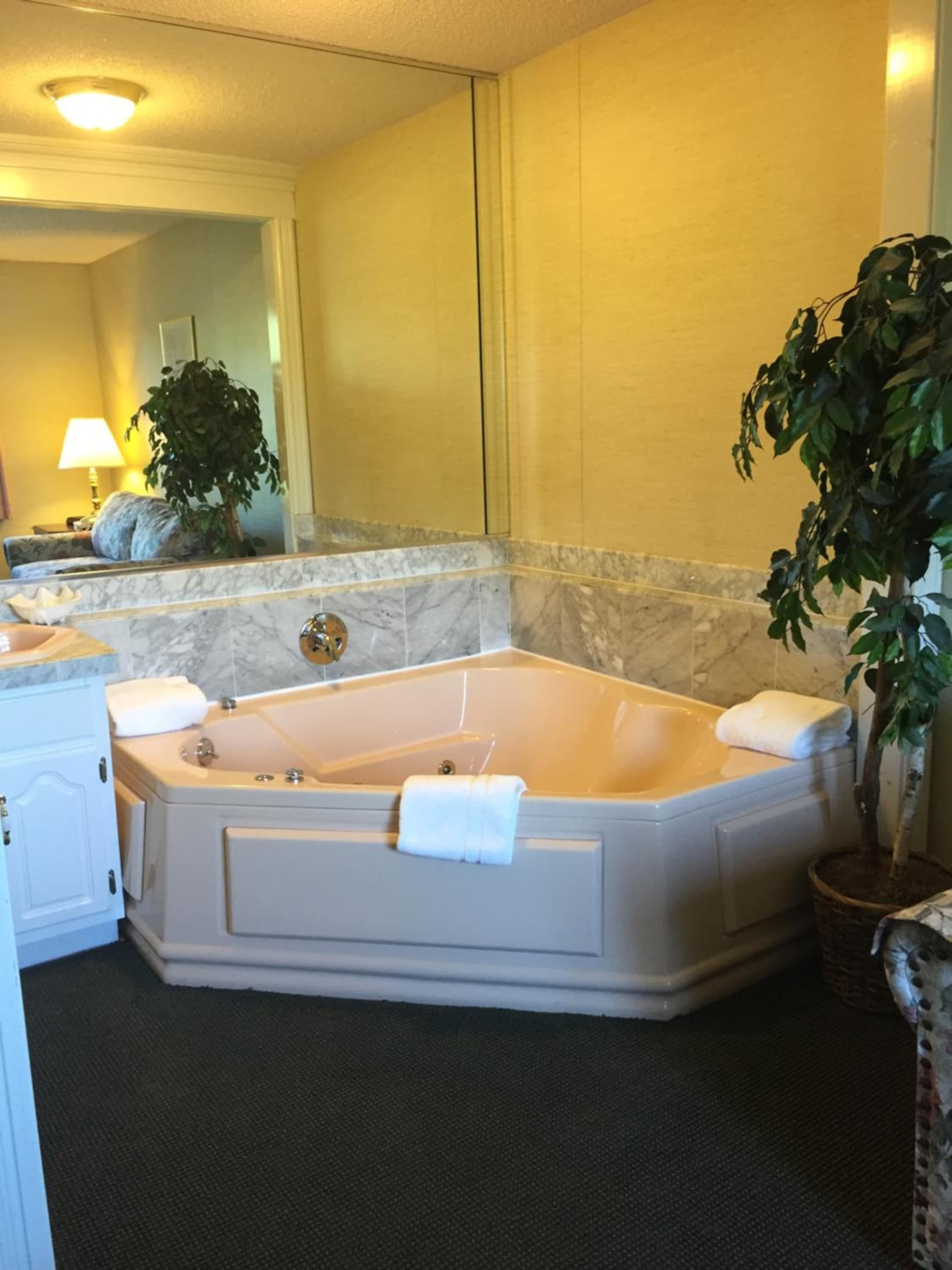Lockport Inn and Suites gallery photo in Lockport, NY — image 8