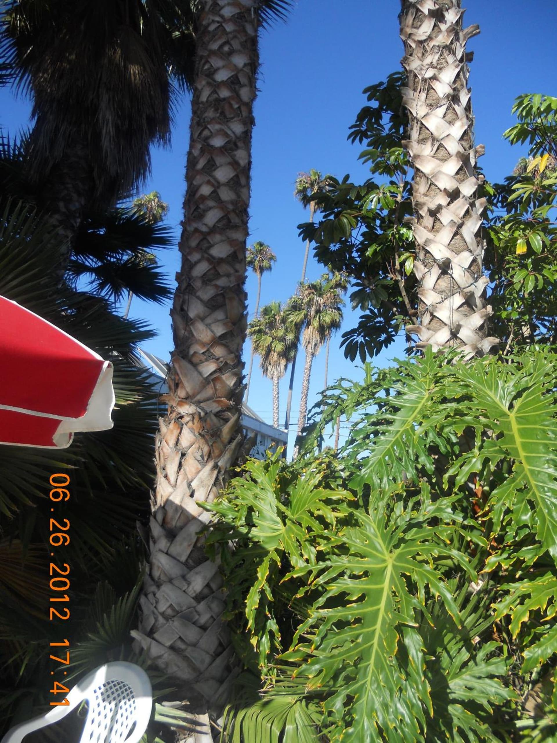 Tradewinds Hotel LAX Airport gallery photo in Inglewood, CA — image 4
