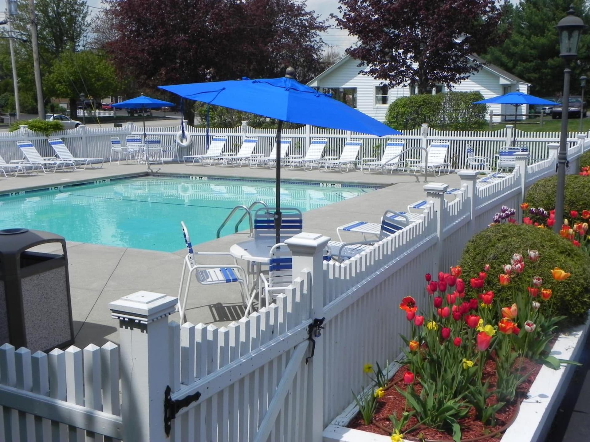Elmwood Resort Hotel gallery photo in Wells — image 71