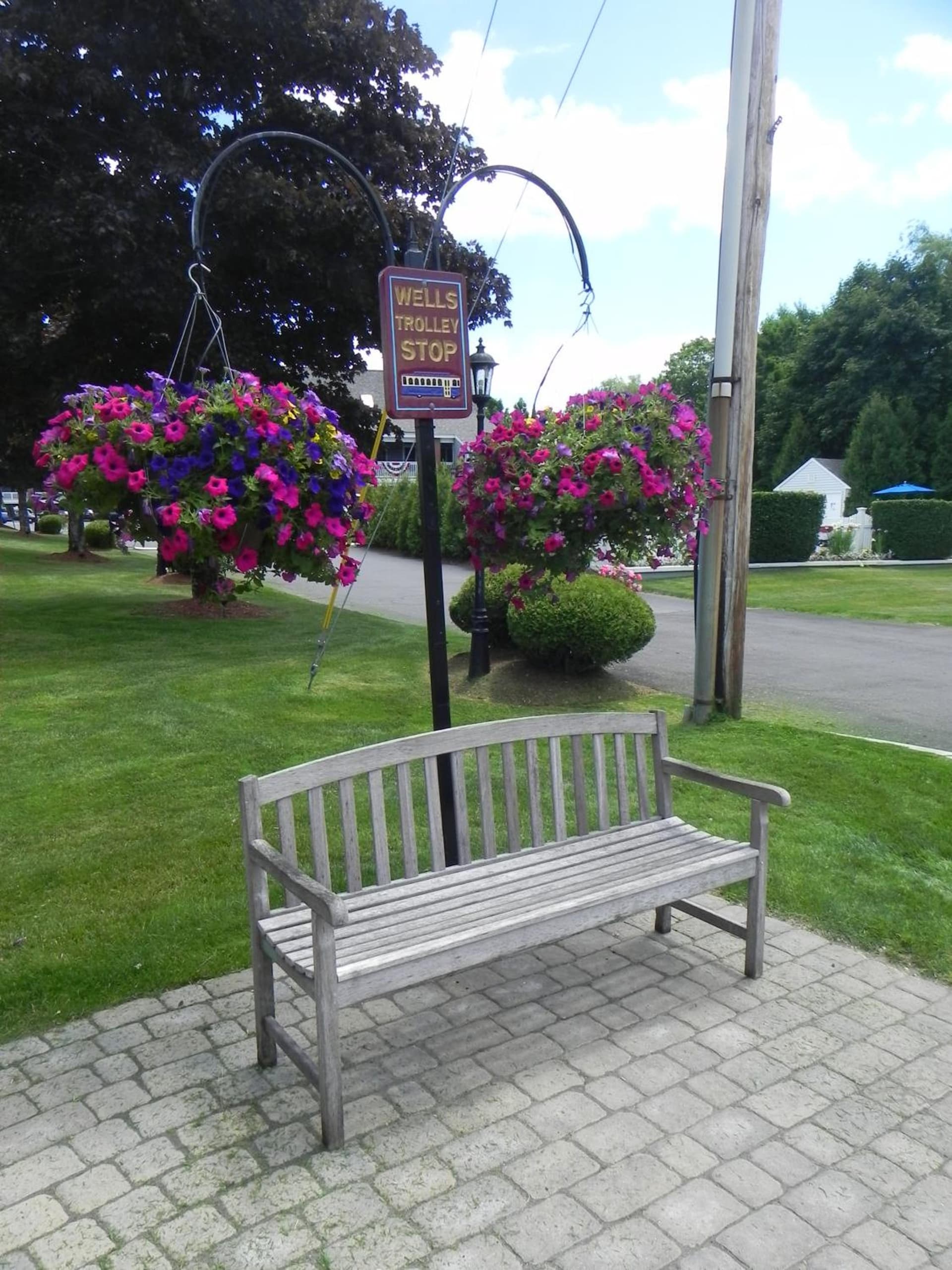 Elmwood Resort Hotel gallery photo in Wells — image 60