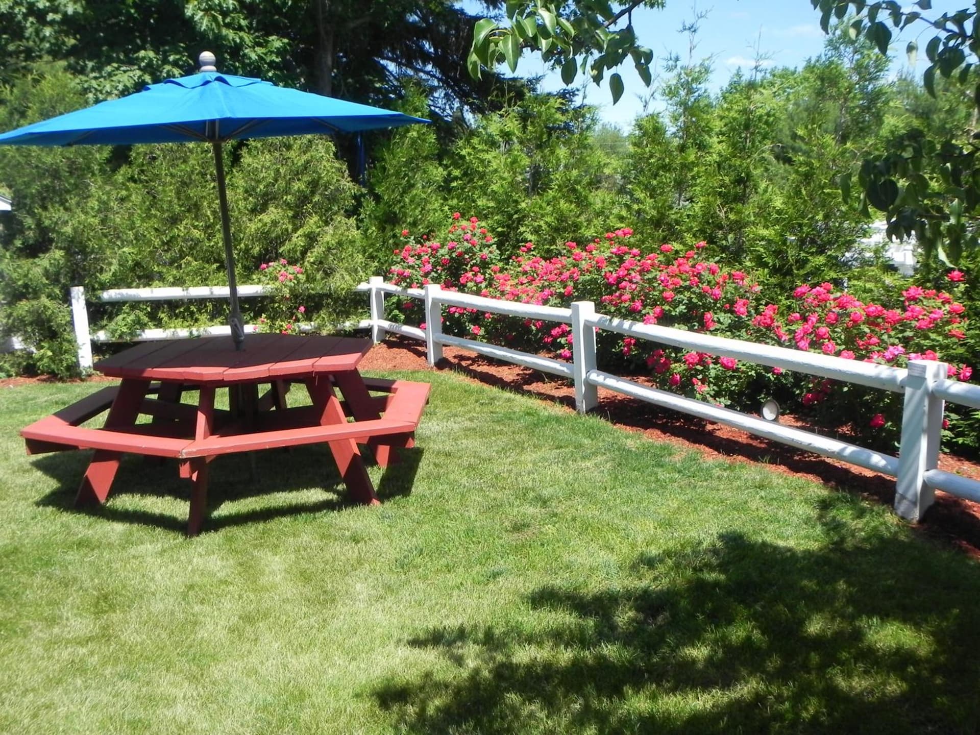 Elmwood Resort Hotel gallery photo in Wells — image 51