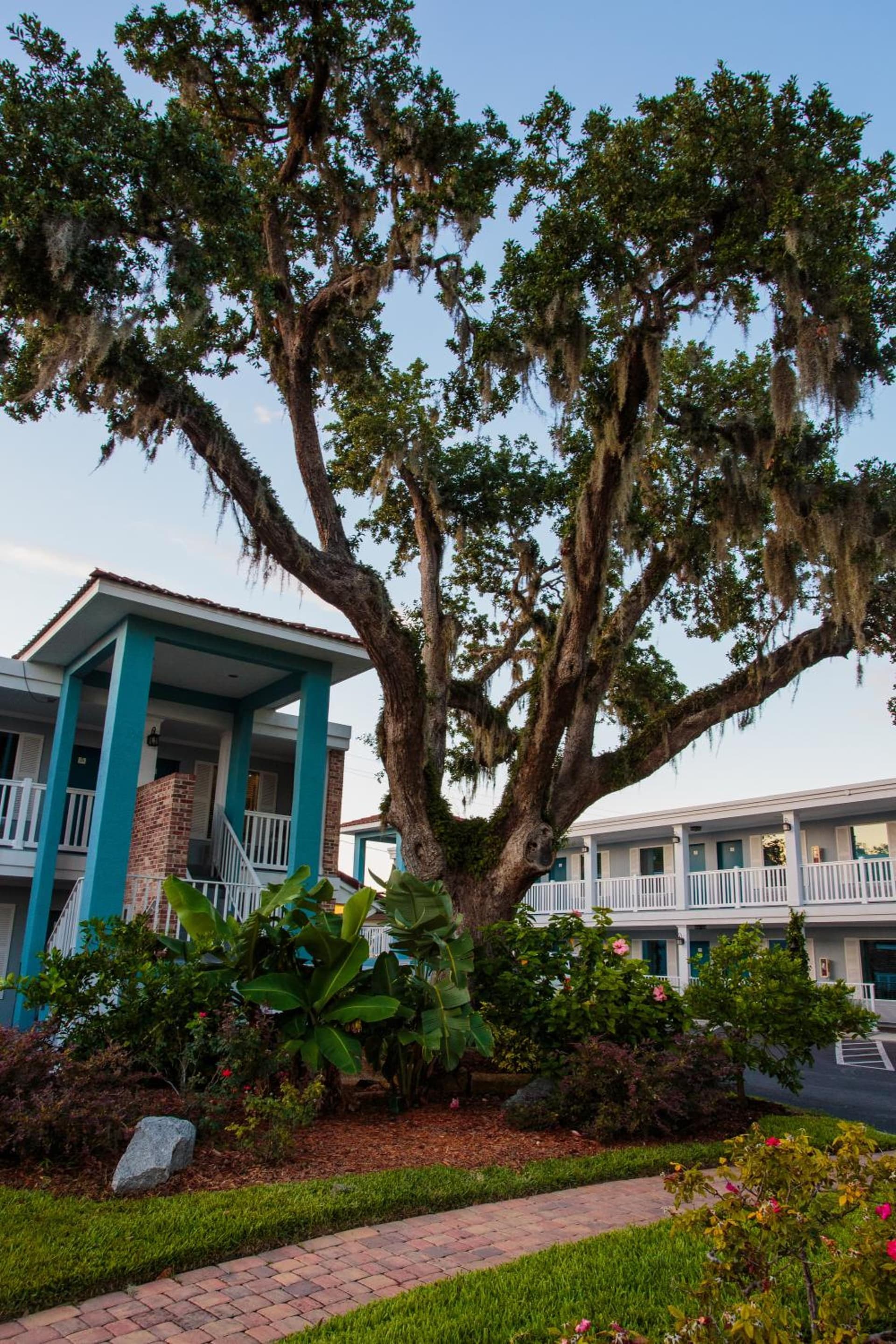Quality Inn St Augustine Historic District Area gallery photo in St. Augustine, FL — image 39