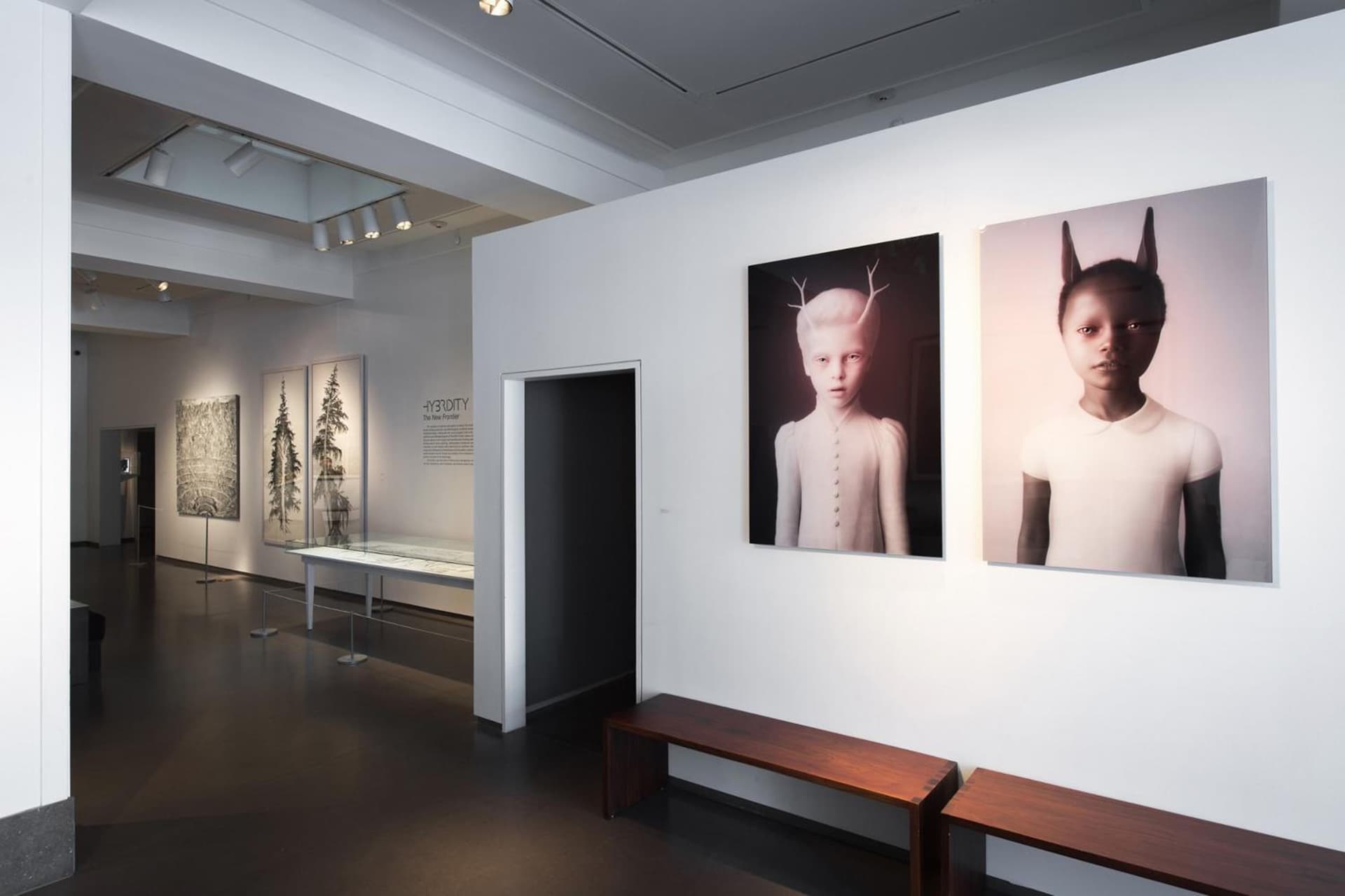 21c Museum Hotel Cincinnati gallery photo in Cincinnati, OH — image 4