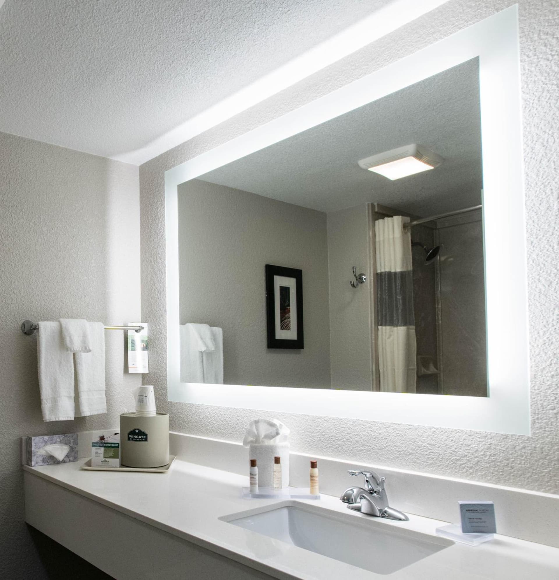 Wingate by Wyndham Dallas Love Field gallery photo in Dallas, TX — image 40