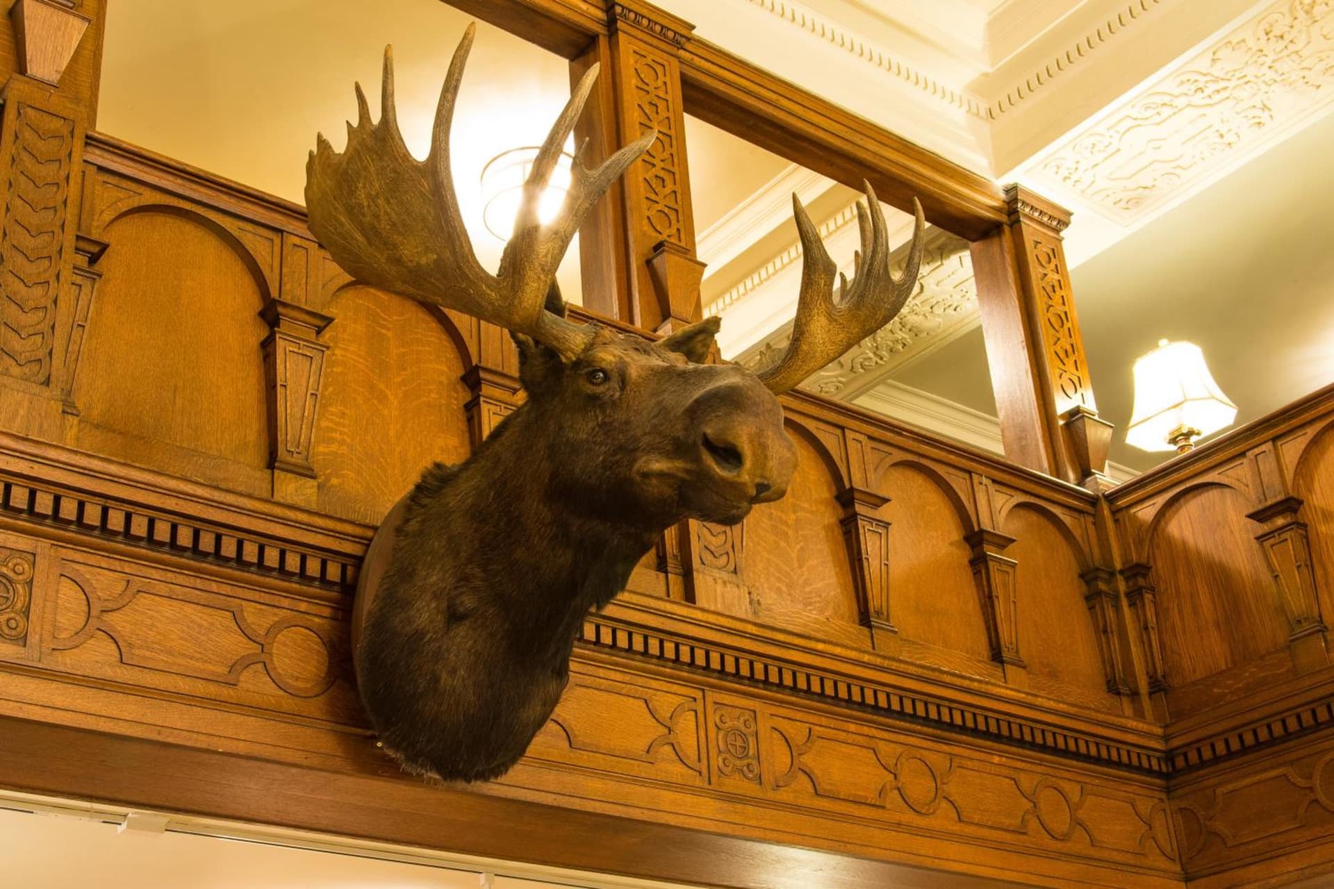 Missouri Athletic Club gallery photo in Saint Louis, MO — image 32