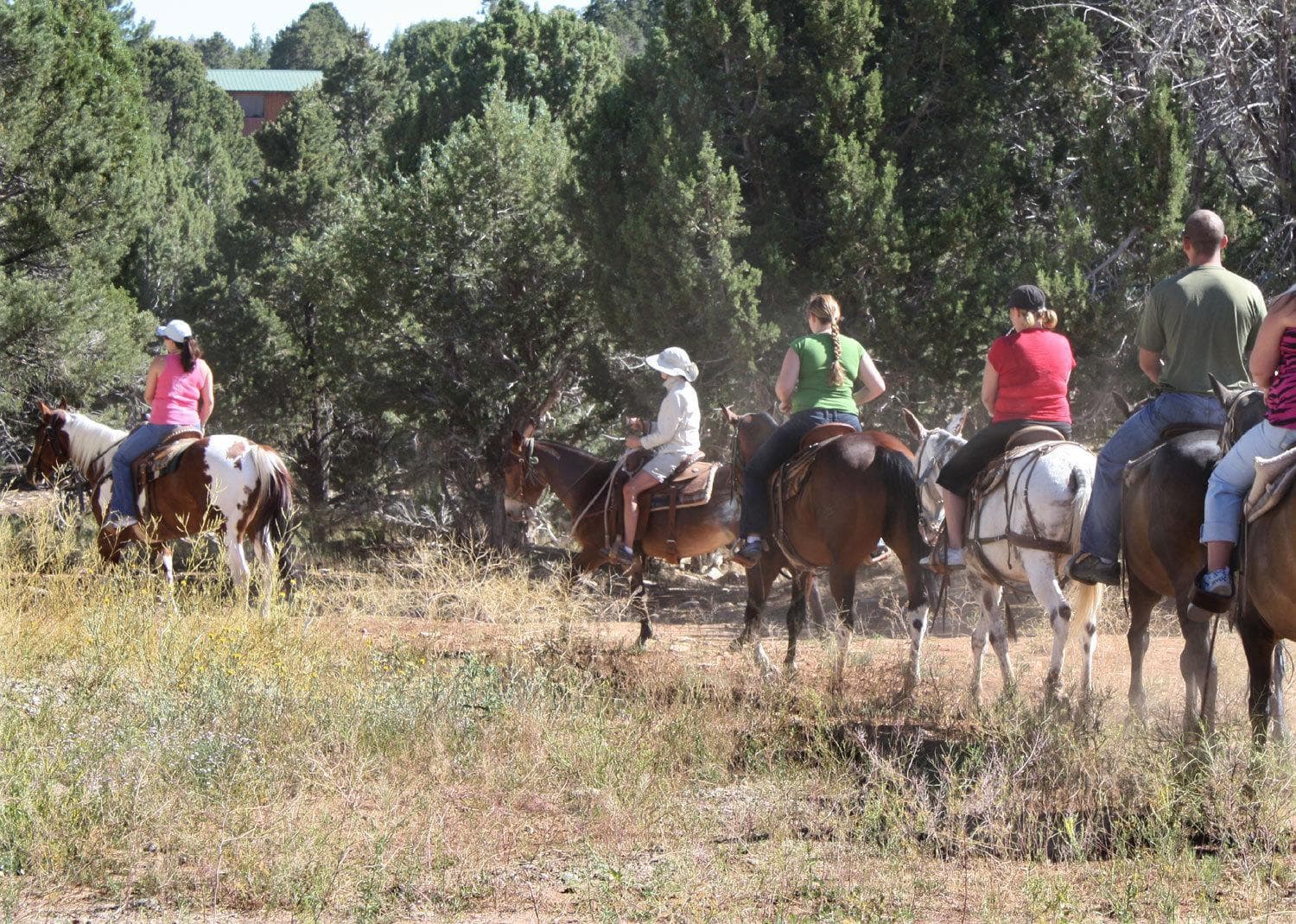 Zion Ponderosa Ranch Resort gallery photo in Orderville, UT — image 72