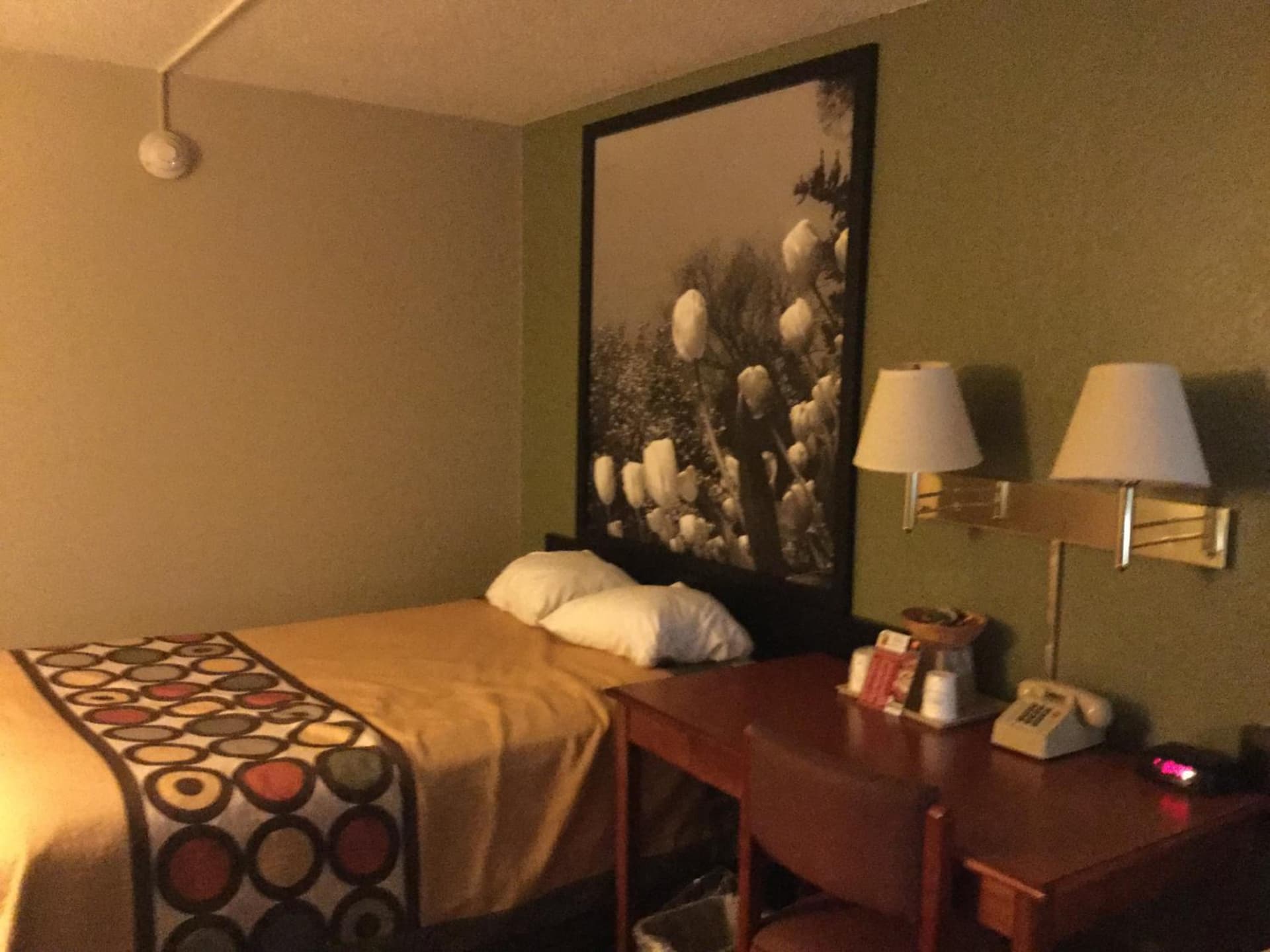 Super 8 by Wyndham Youngstown/Austintown gallery photo in Youngstown, OH — image 31