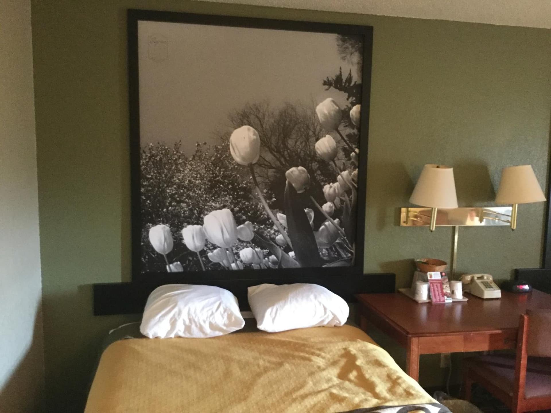 Super 8 by Wyndham Youngstown/Austintown gallery photo in Youngstown, OH — image 17