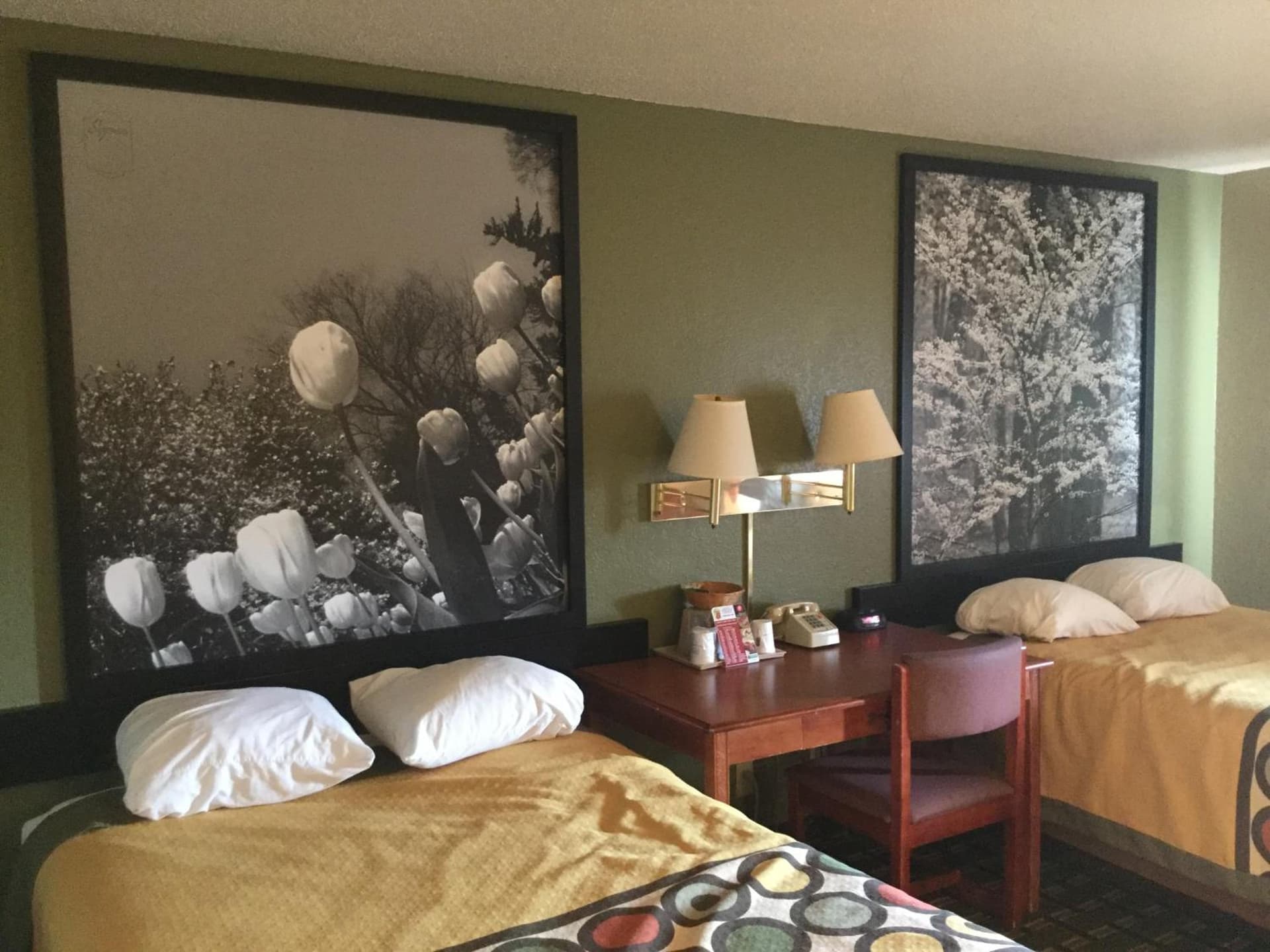 Super 8 by Wyndham Youngstown/Austintown gallery photo in Youngstown, OH — image 5