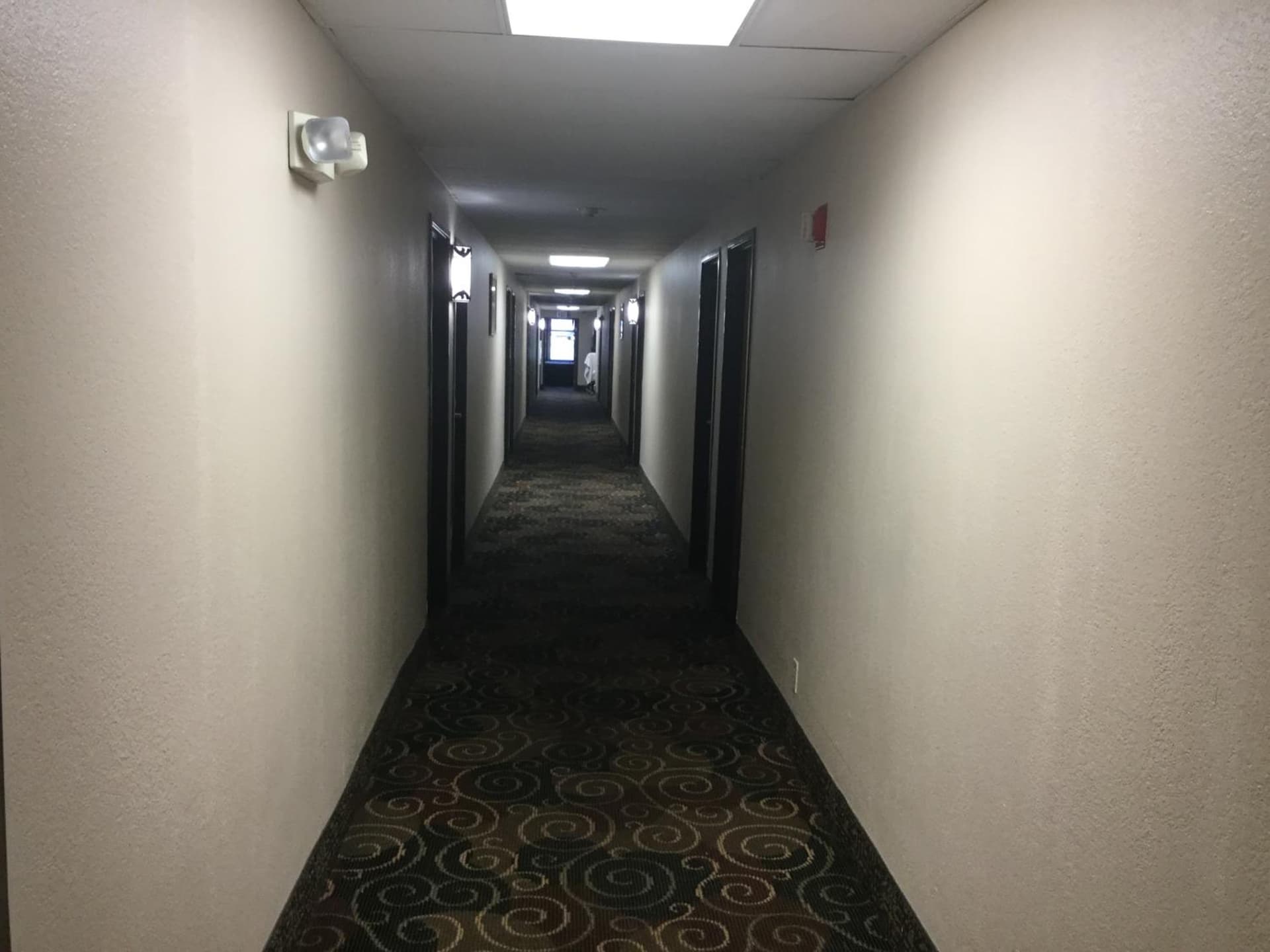 Super 8 by Wyndham Youngstown/Austintown gallery photo in Youngstown, OH — image 7