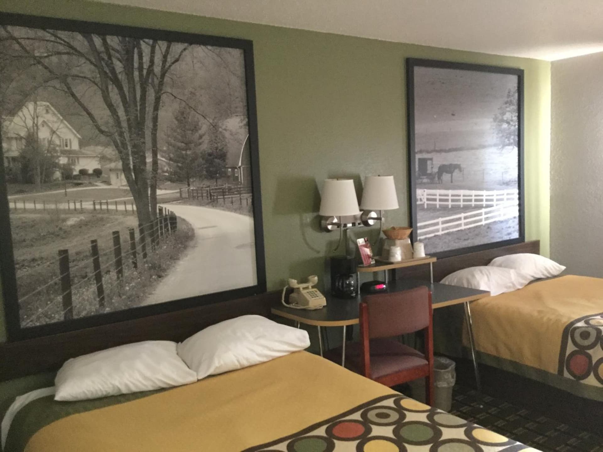 Super 8 by Wyndham Youngstown/Austintown gallery photo in Youngstown, OH — image 26