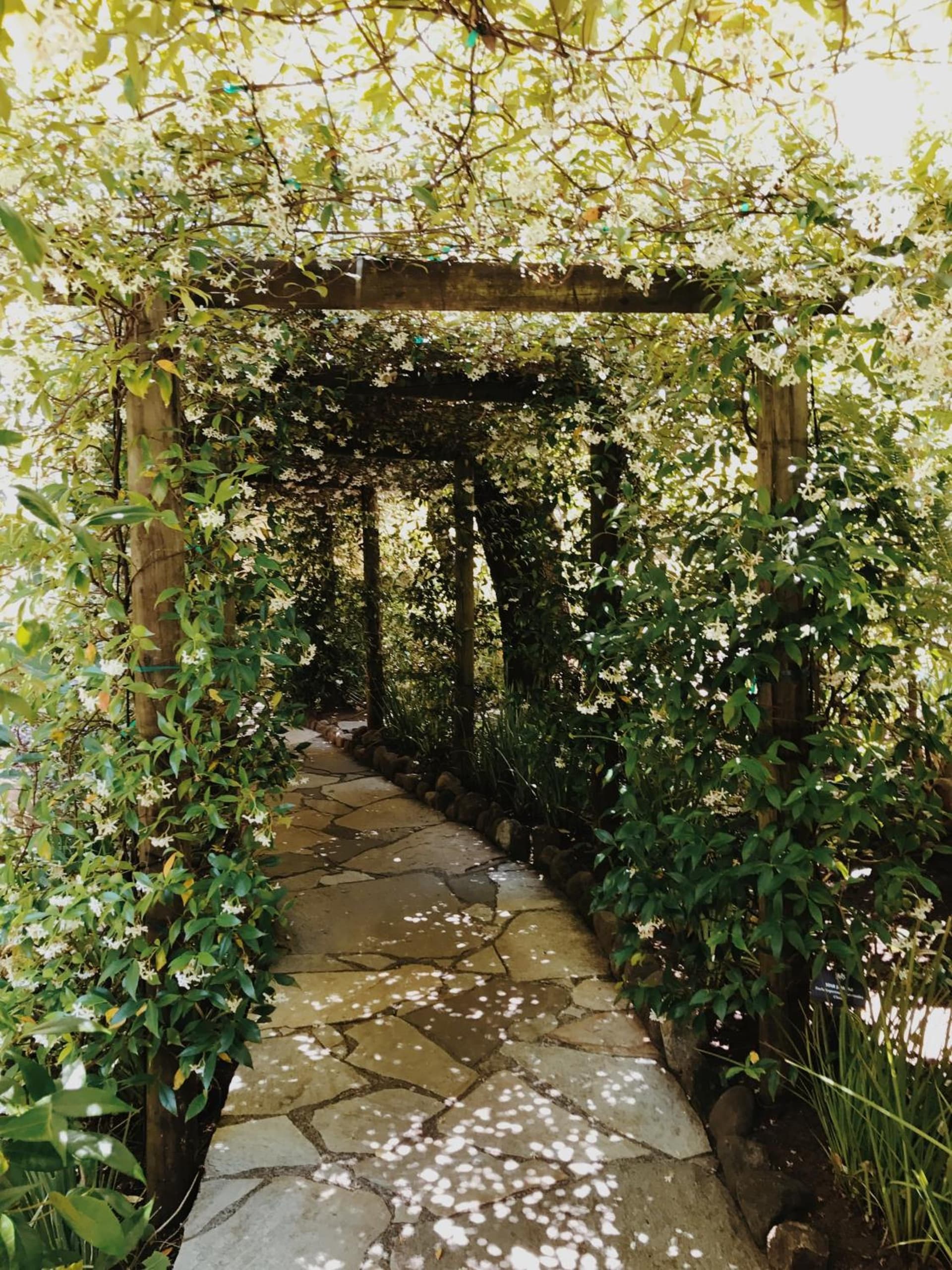 Kenwood Inn & Spa gallery photo in Kenwood, CA — image 51