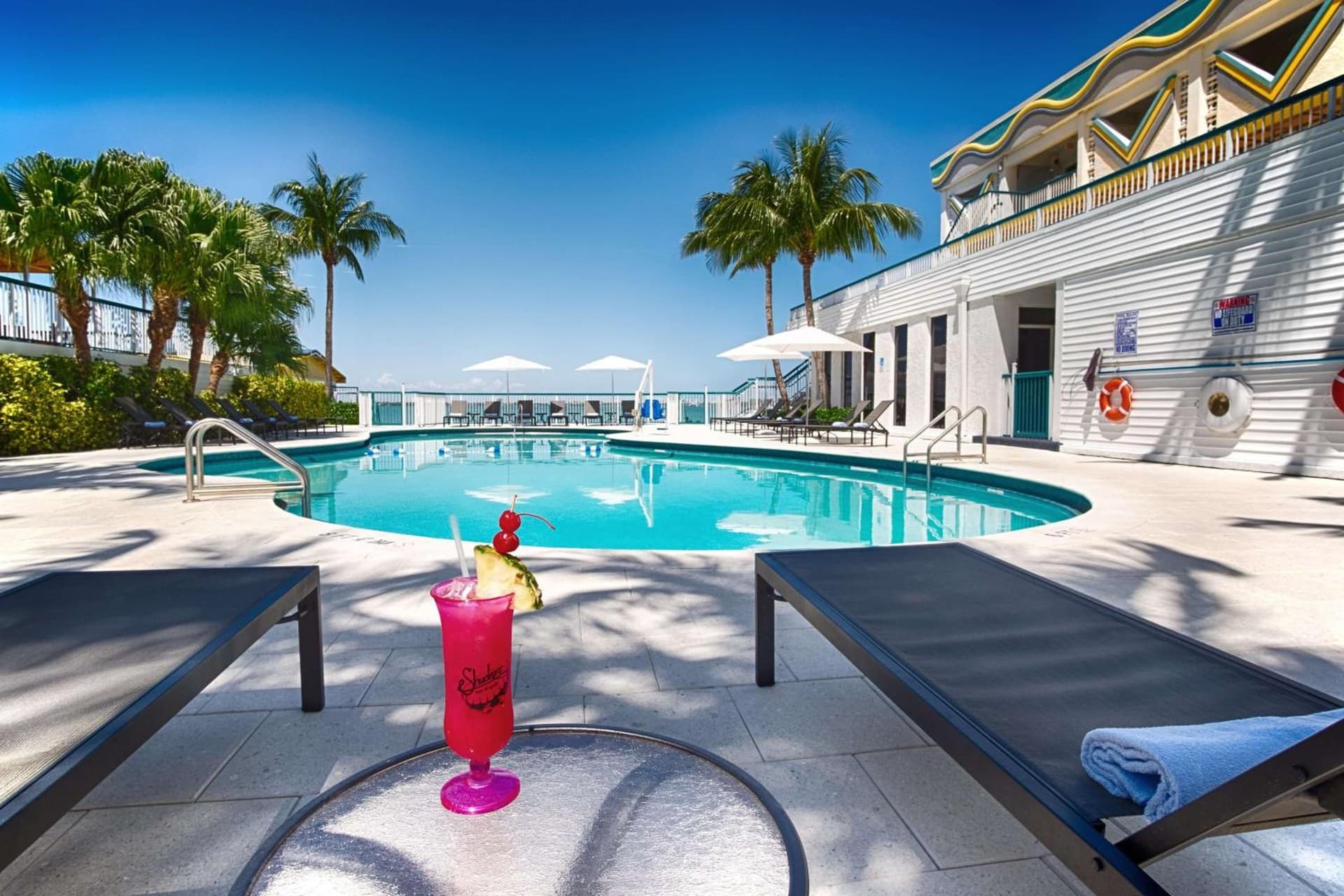 Palm Tree Club Miami property views in Miami Beach, FL — gallery photo 3