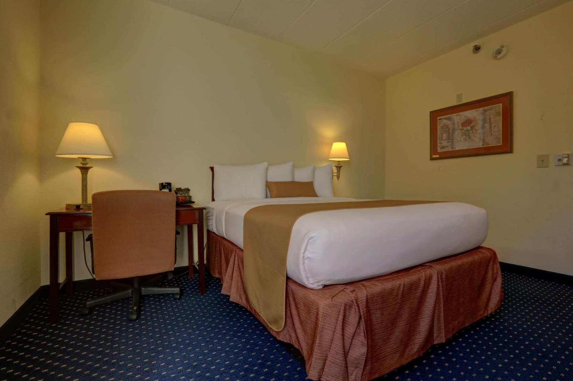 SureStay Plus Hotel by Best Western Chicago Lombard gallery photo in Lombard, IL — image 9