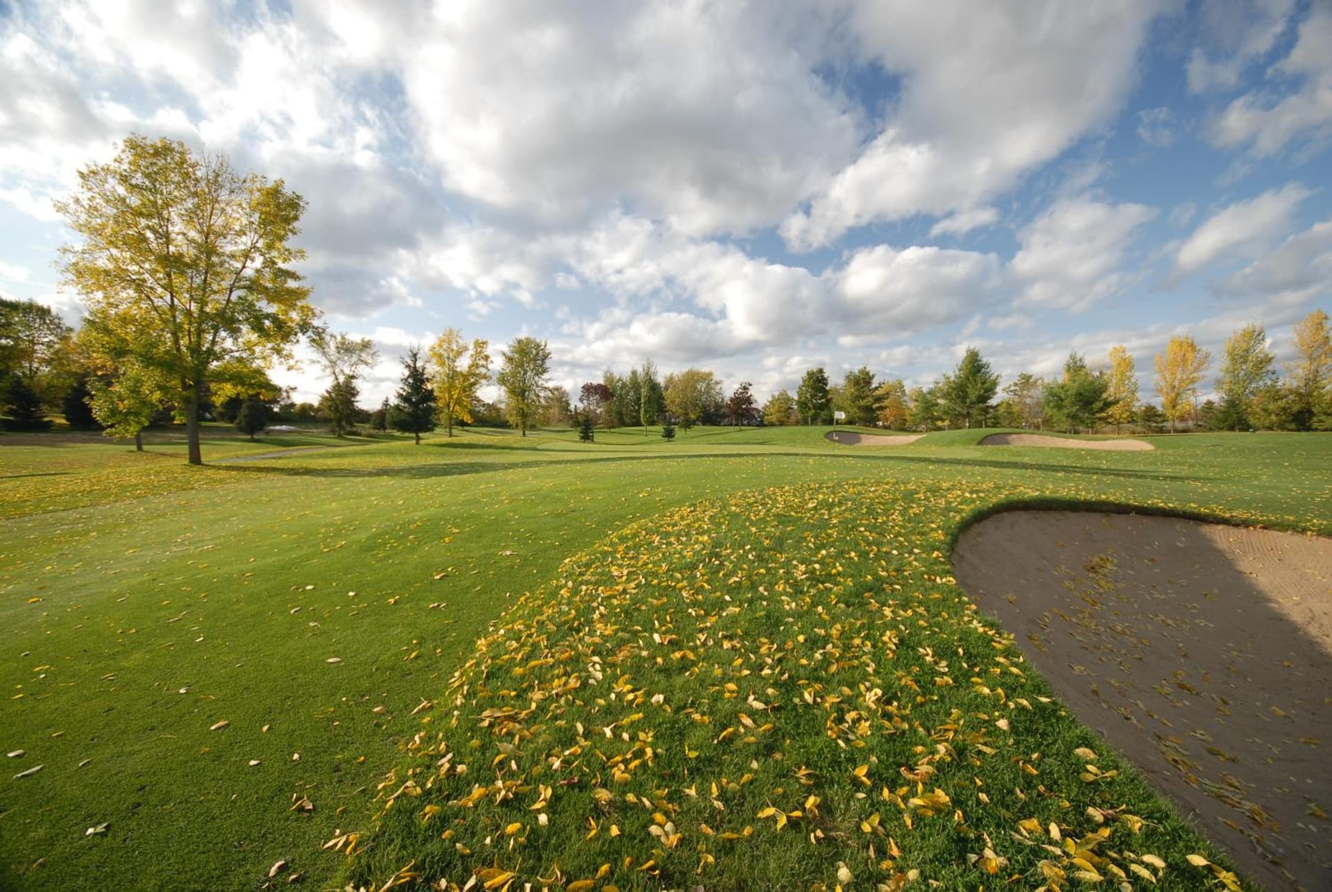 The Essex Resort & Spa gallery photo in Burlington, VT — image 13