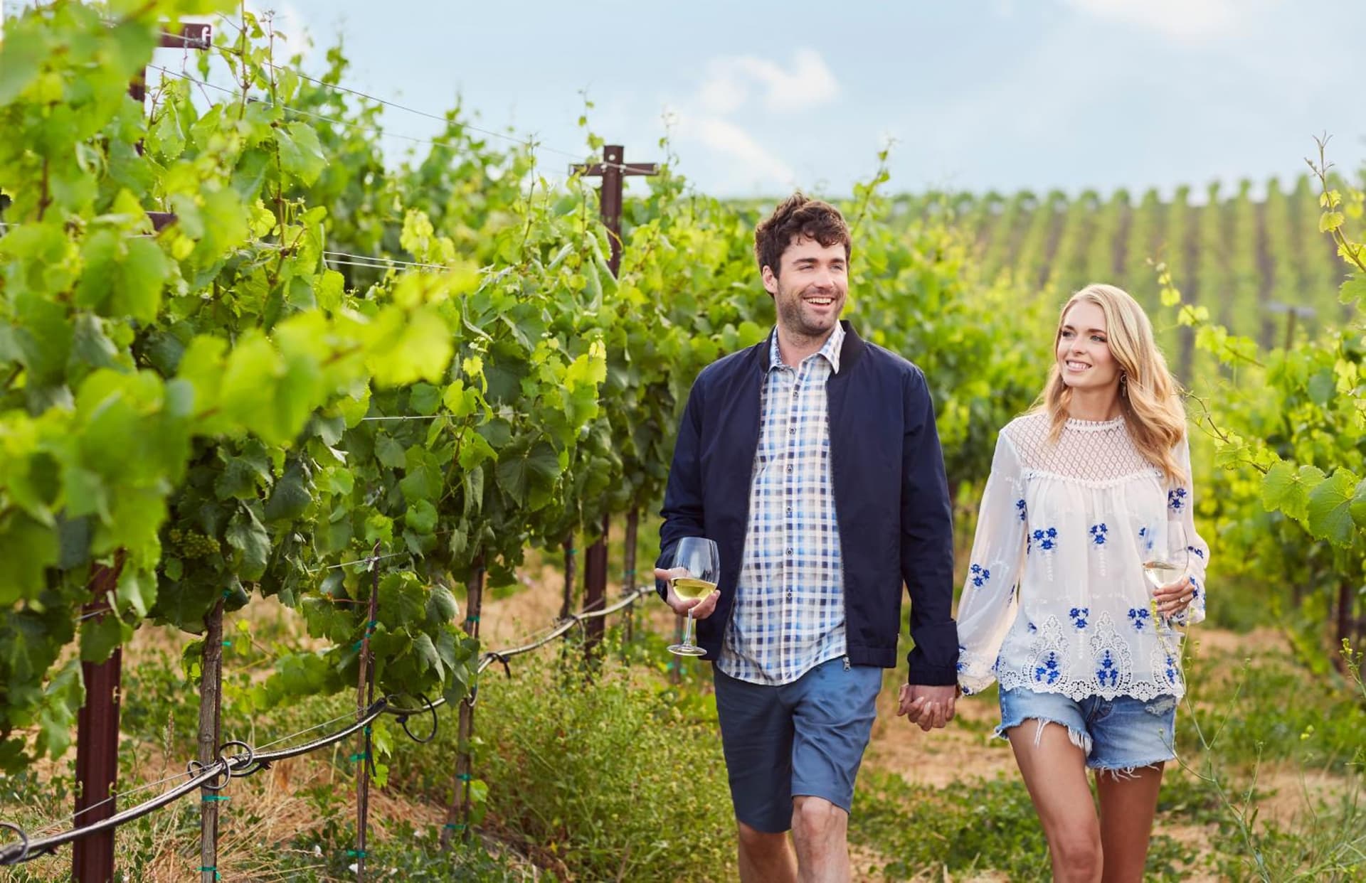 Carneros Resort and Spa gallery photo in Napa, CA — image 9