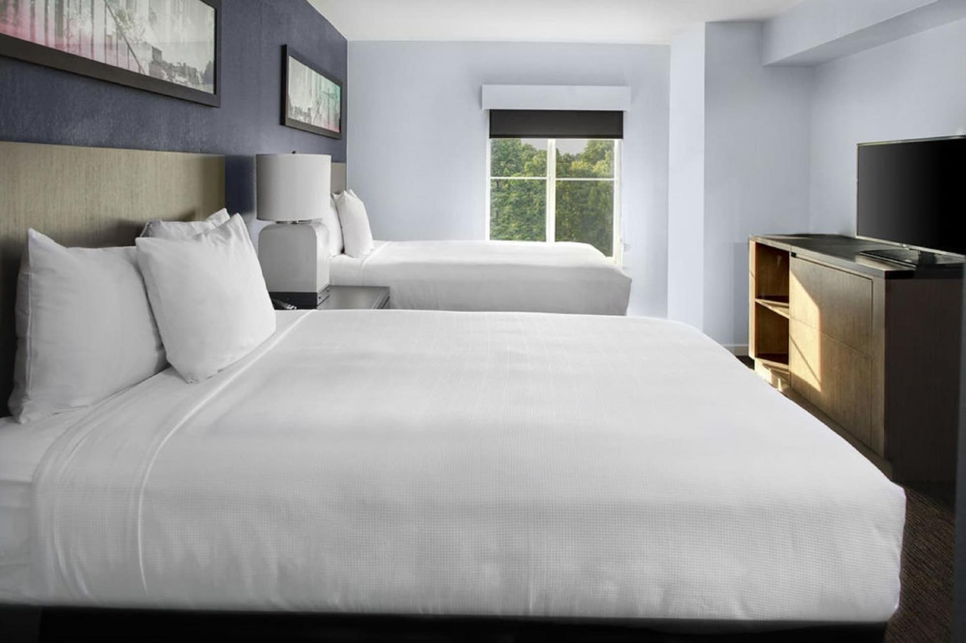 Hyatt House Sterling/Dulles Airport North gallery photo in Sterling, VA — image 28