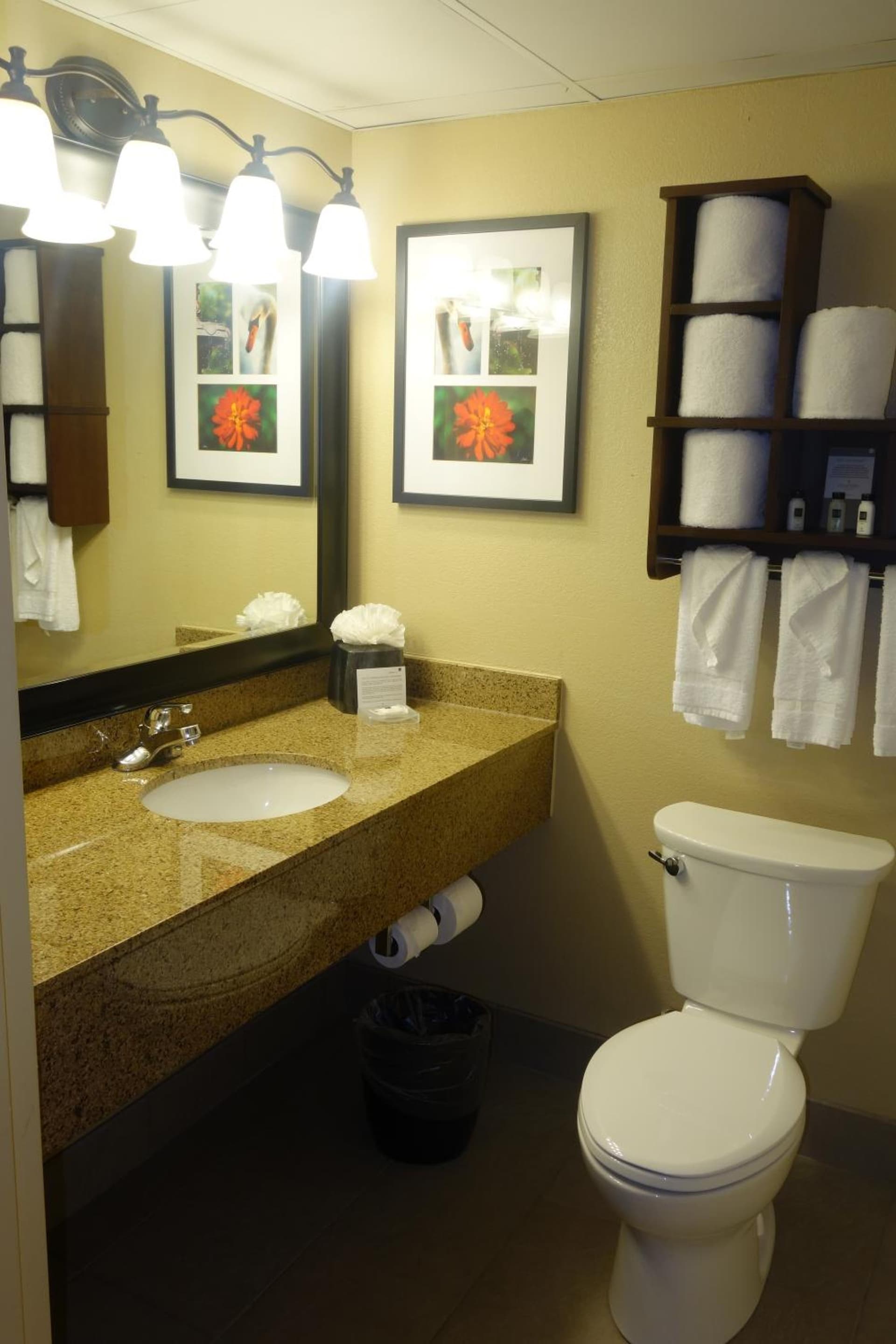 Country Inn & Suites by Radisson, Burlington Elon , NC gallery photo in Burlington, NC — image 10