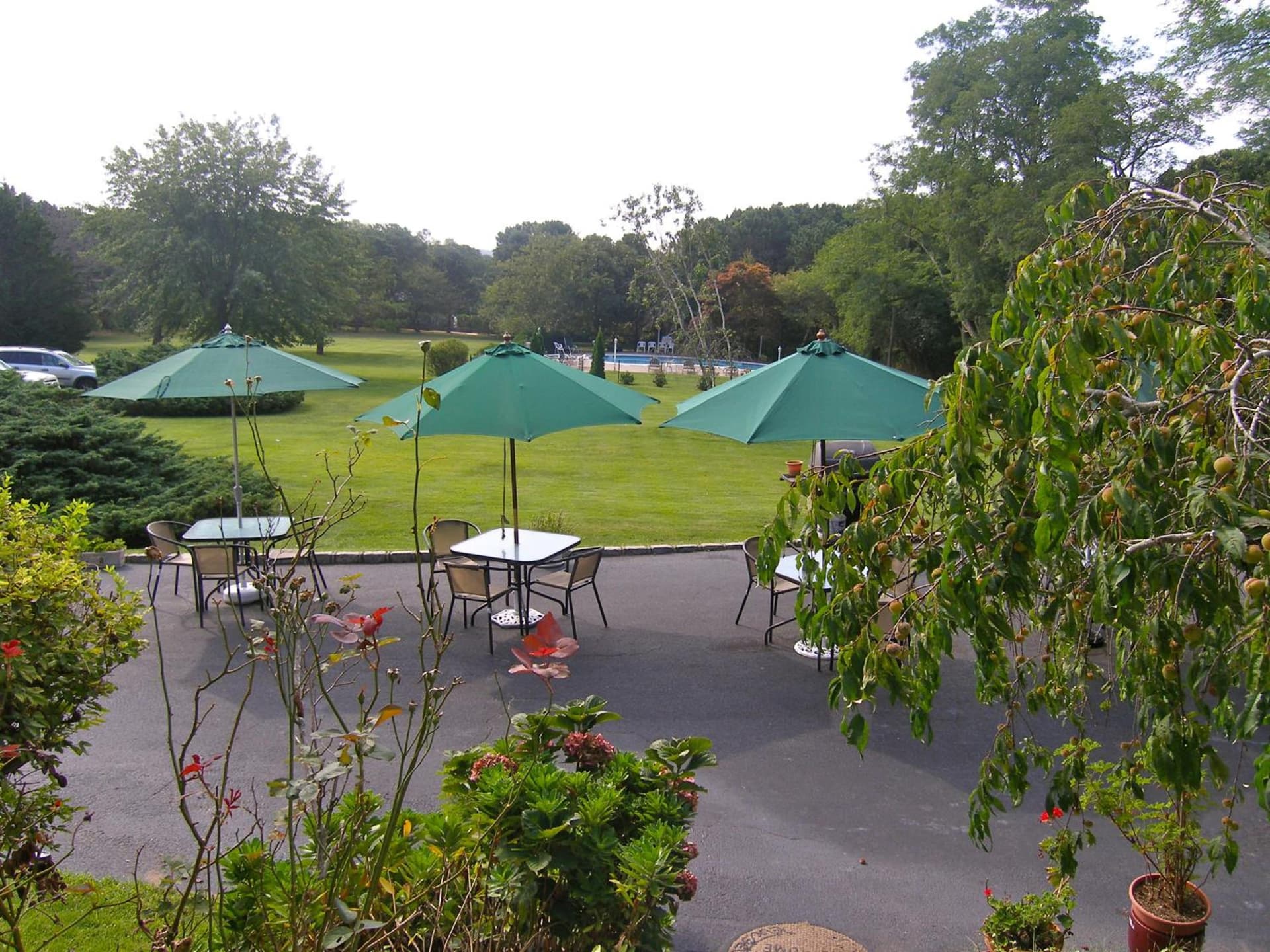 Hamlet Inn - Walk to PALM TREE FESTIVAL gallery photo in Southampton, NY — image 11