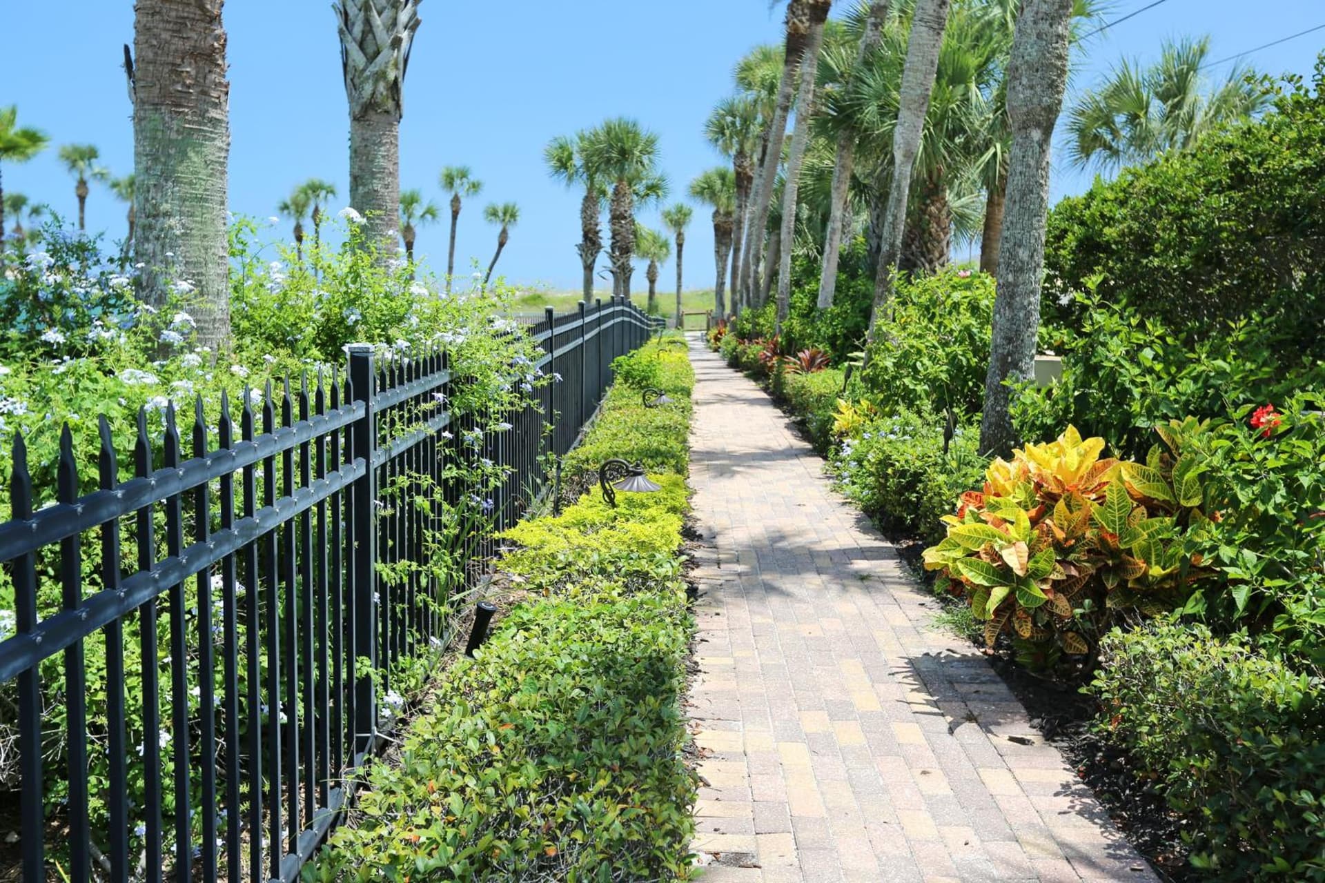 La Fiesta Ocean Inn & Suites gallery photo in Saint Augustine Beach, FL — image 15