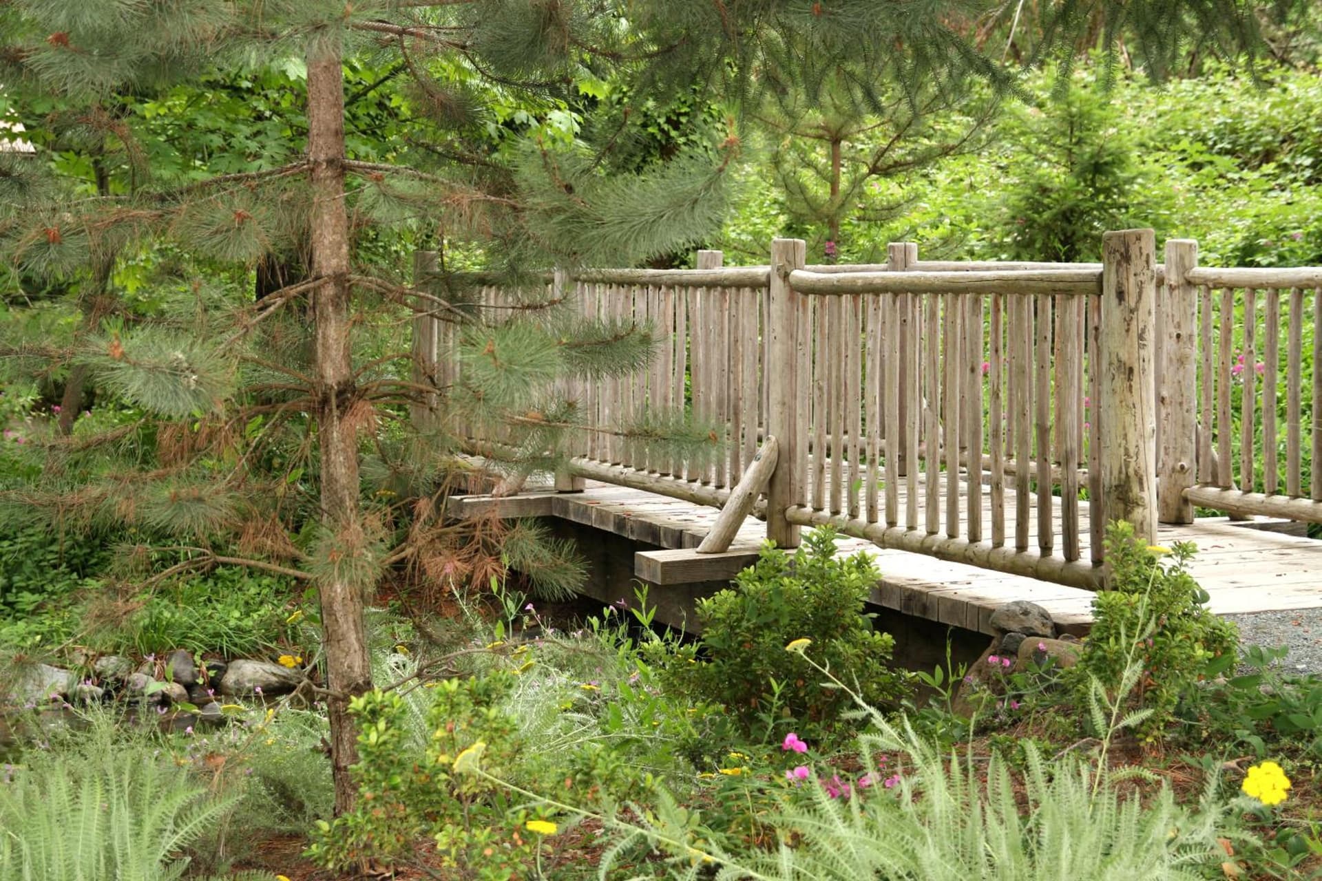 Weasku Inn gallery photo in Grants Pass, OR — image 128