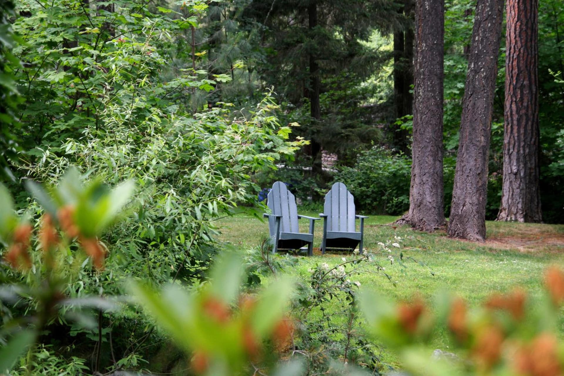 Weasku Inn gallery photo in Grants Pass, OR — image 56