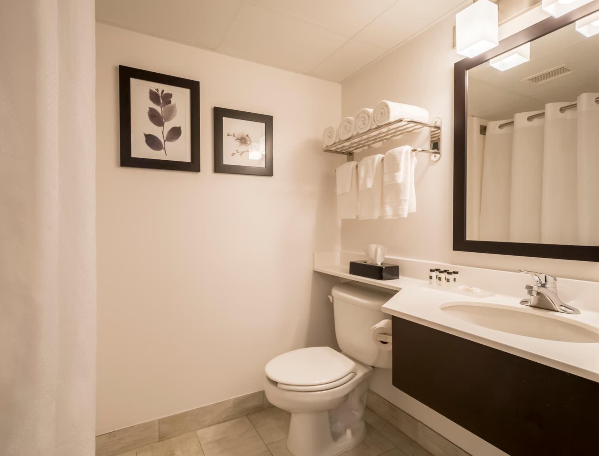 Country Inn & Suites by Radisson, Rochester-Pittsford-Brighton, NY gallery photo in Rochester, NY — image 37