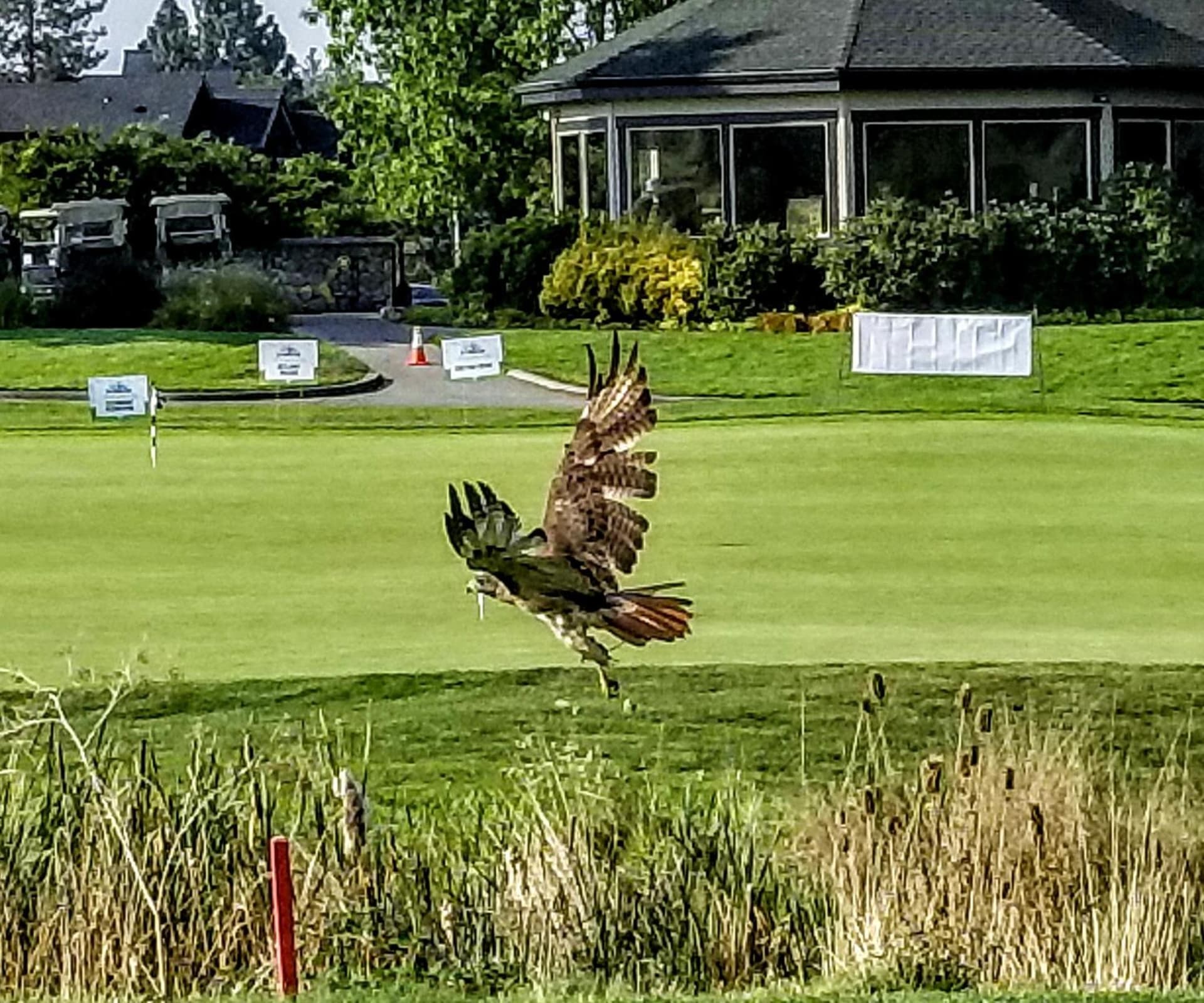 Resort at Eagle Point Golf Club Lodging gallery photo in Medford, OR — image 31
