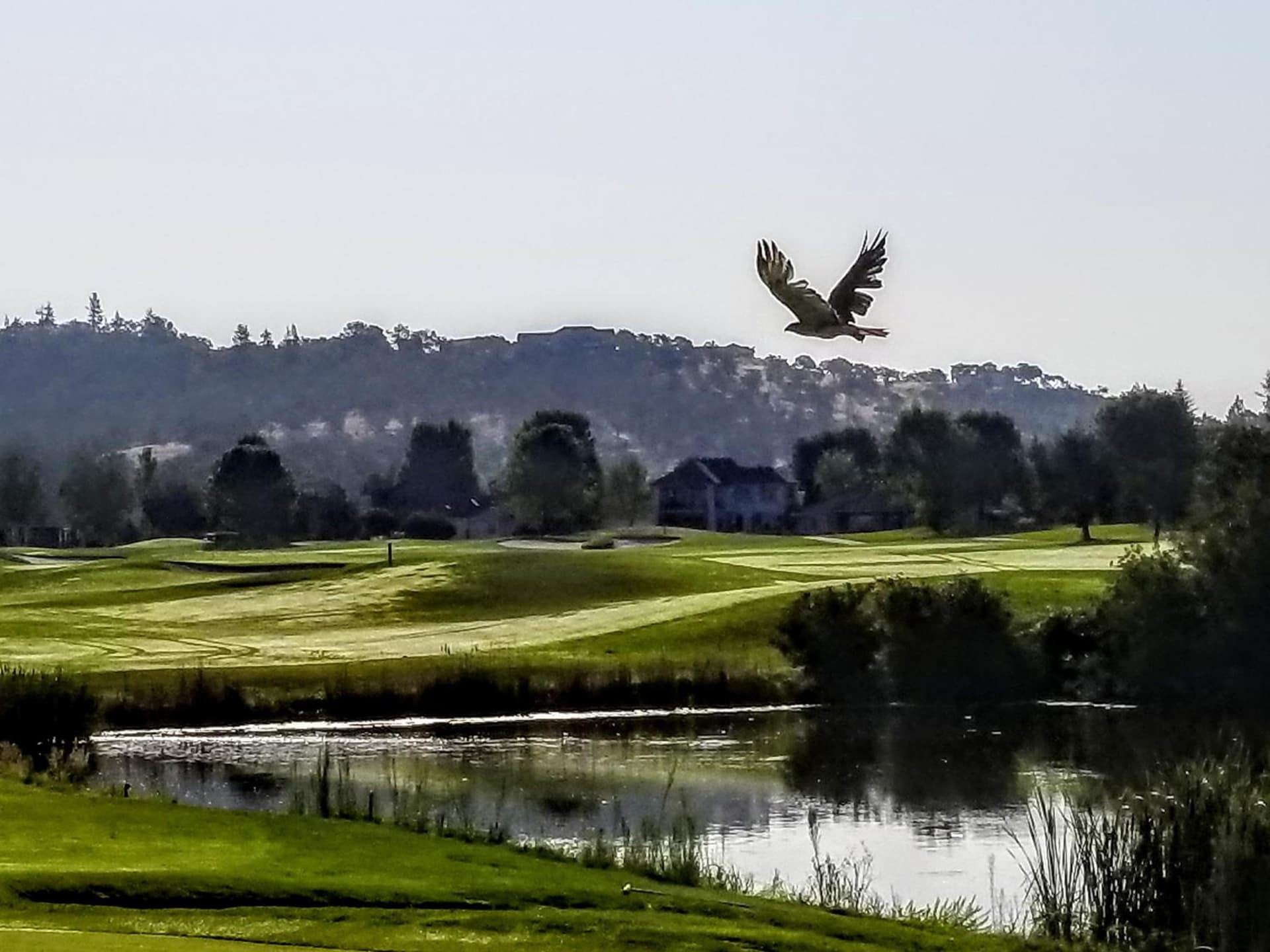 Resort at Eagle Point Golf Club Lodging gallery photo in Medford, OR — image 35