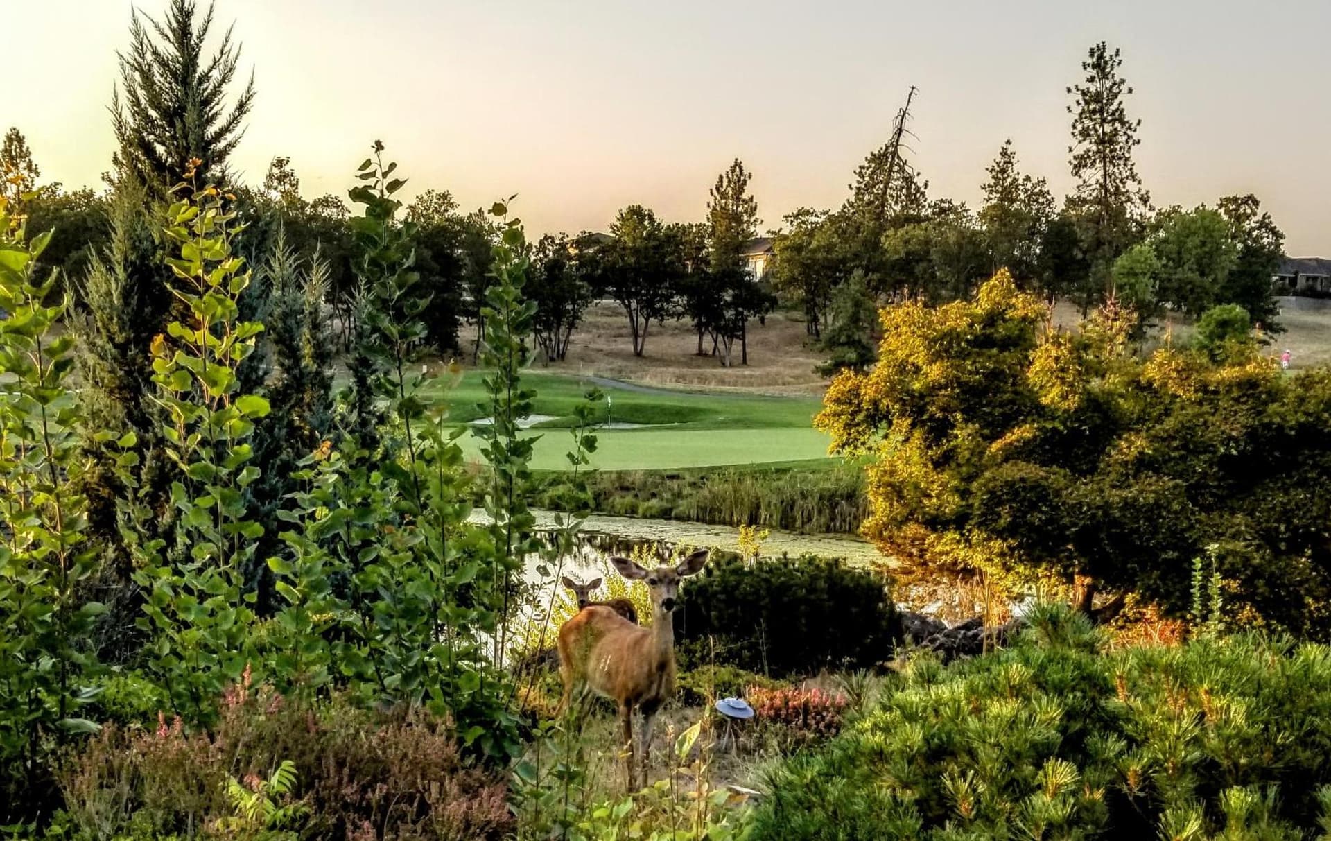 Resort at Eagle Point Golf Club Lodging gallery photo in Medford, OR — image 26