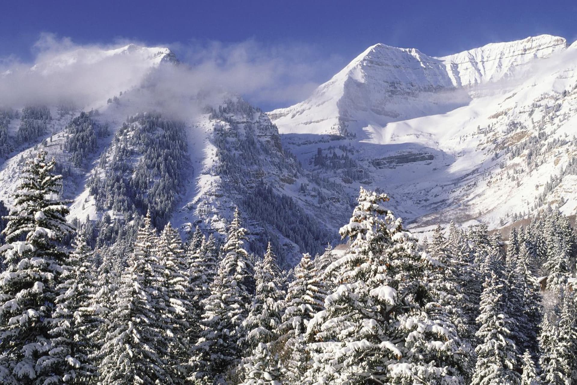 Zermatt Utah Resort & Spa Trademark Collection by Wyndham gallery photo in Midway, UT — image 92