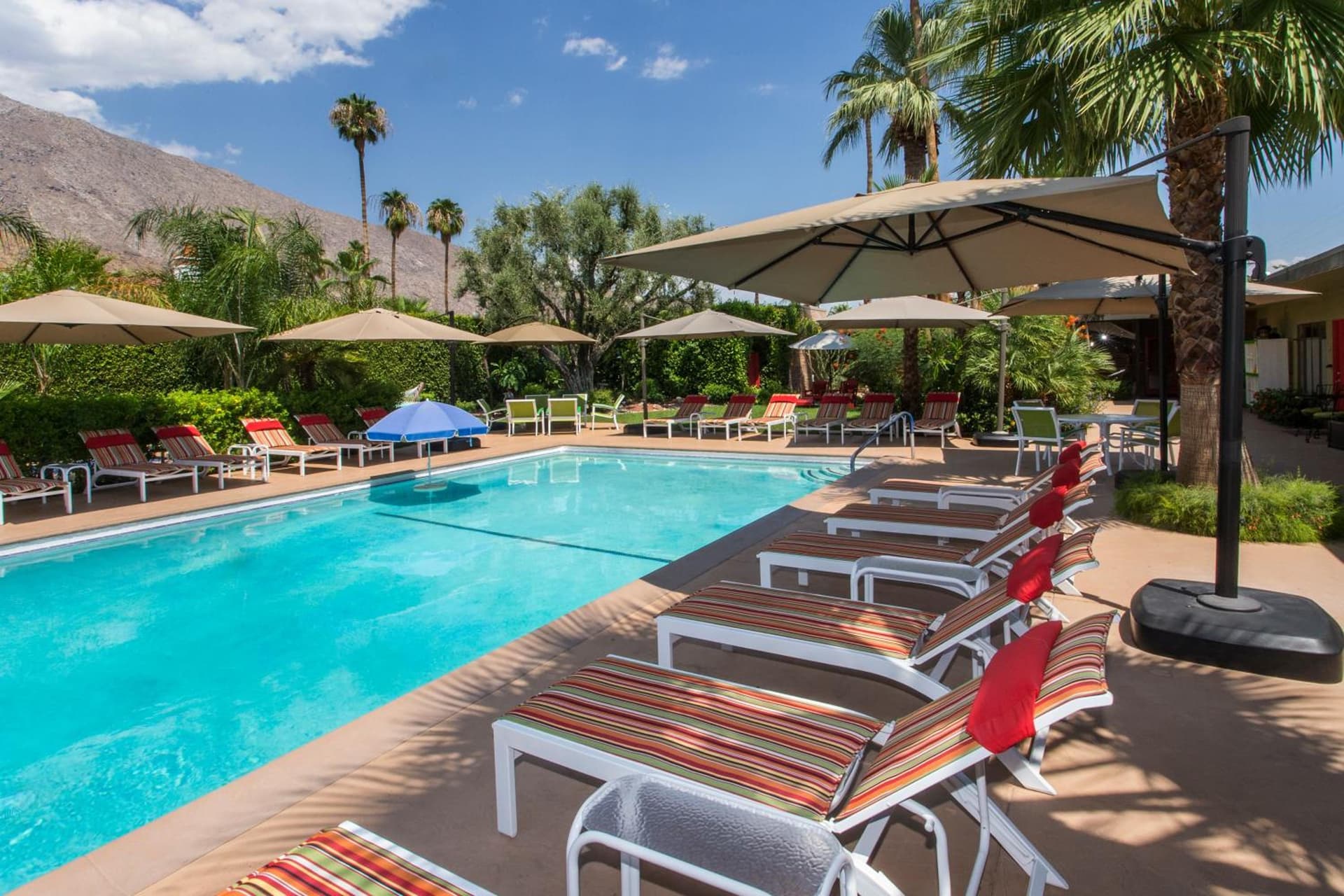 Desert Riviera Hotel - A Town & Desert Boutique Hotel interior in Palm Springs, CA — gallery photo 2