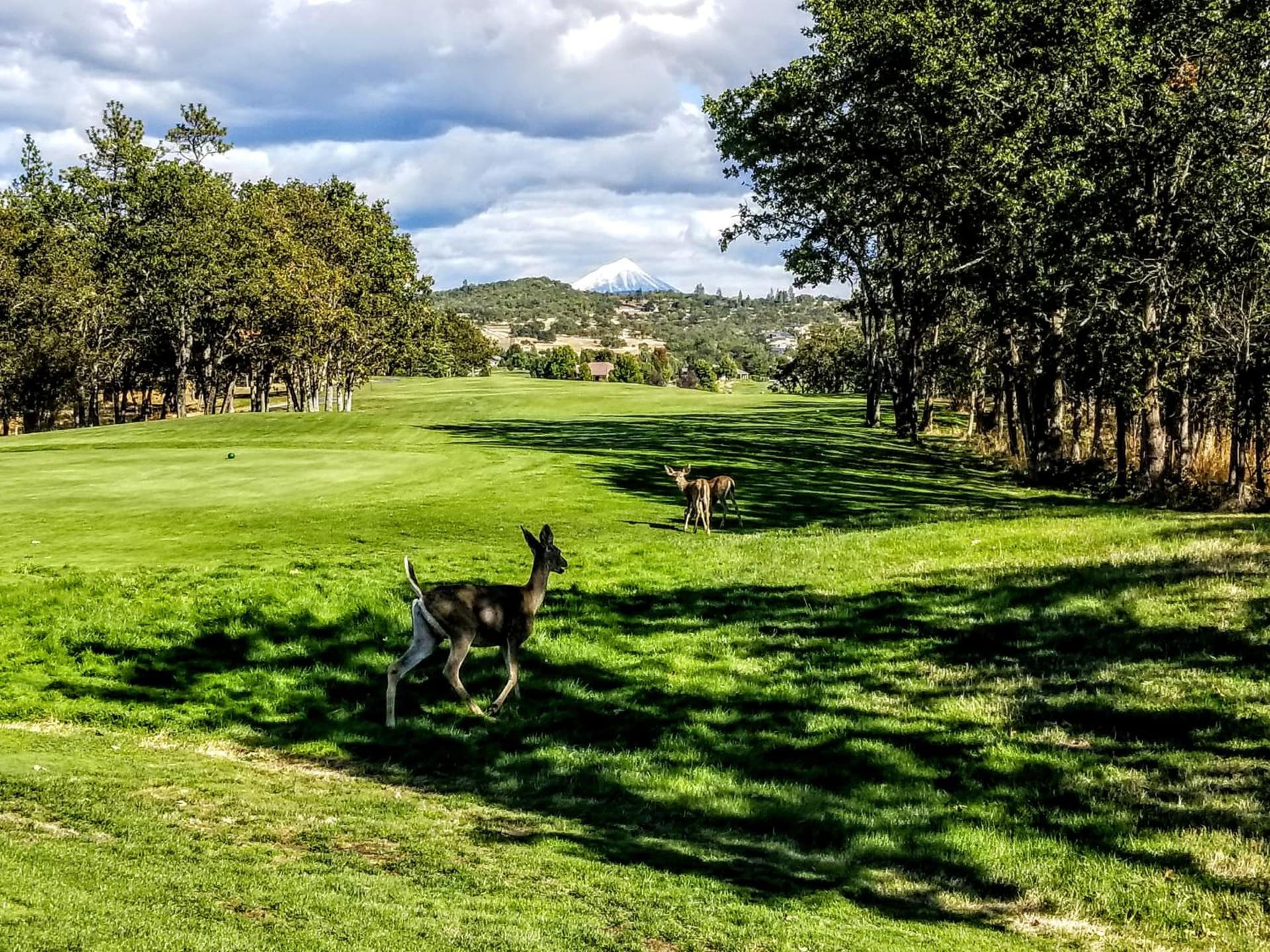 Resort at Eagle Point Golf Club Lodging gallery photo in Medford, OR — image 64