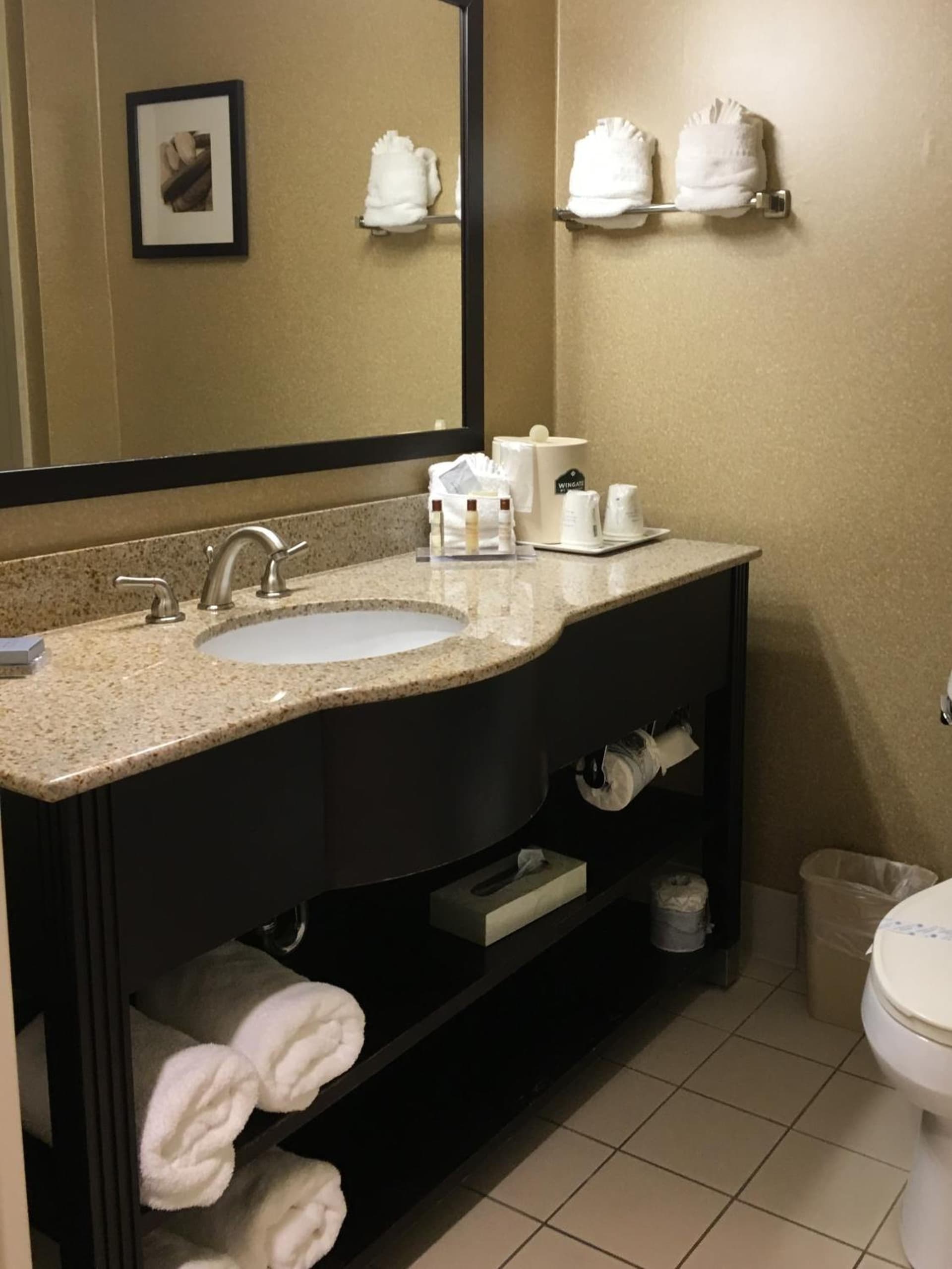 Wingate by Wyndham Wilmington gallery photo in Wilmington, NC — image 34