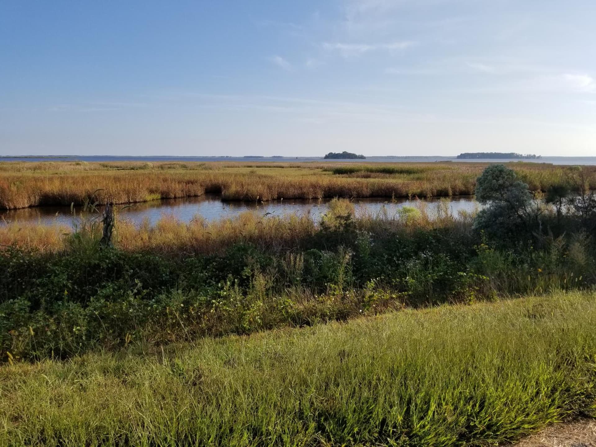 Sandaway Suites & Beach gallery photo in Oxford, MD — image 62