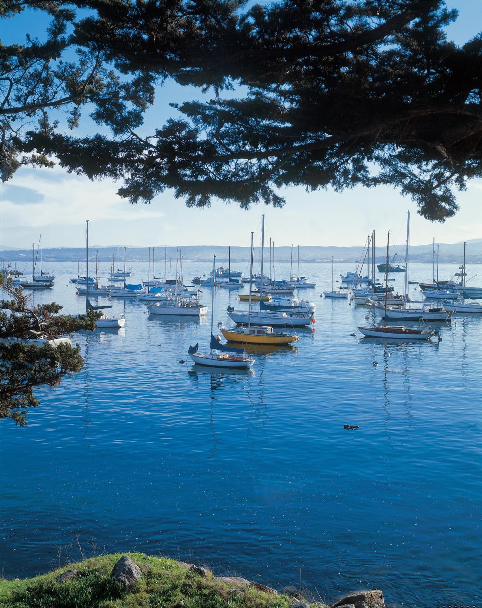 Spindrift Inn gallery photo in Monterey, CA — image 30