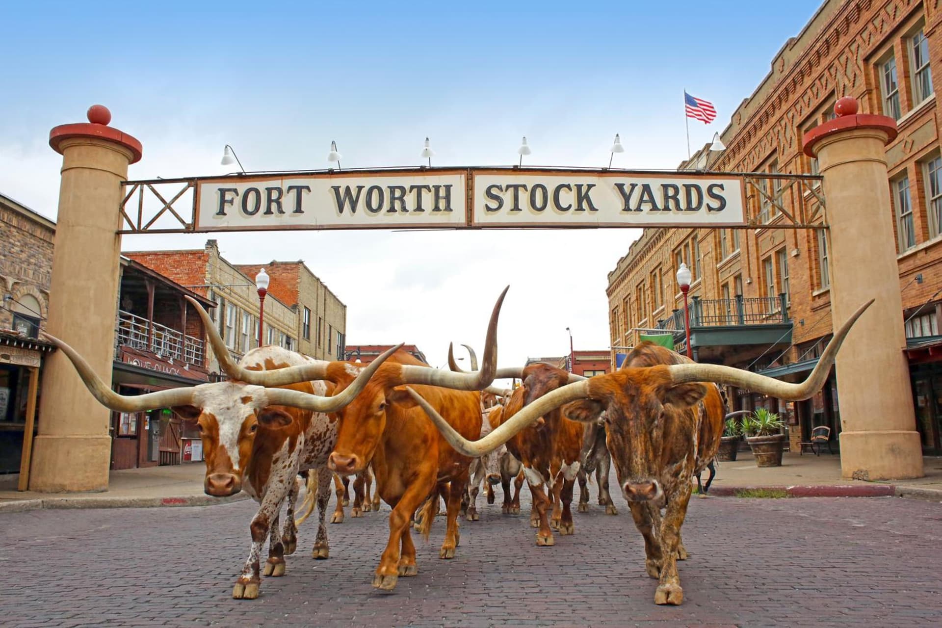 Radisson Hotel Fort Worth North-Fossil Creek gallery photo in Fort Worth, TX — image 5