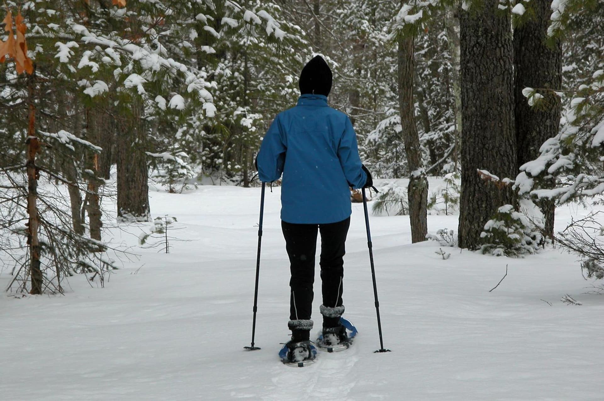 Lake Forest Resort property views in Eagle River, WI — gallery photo 3