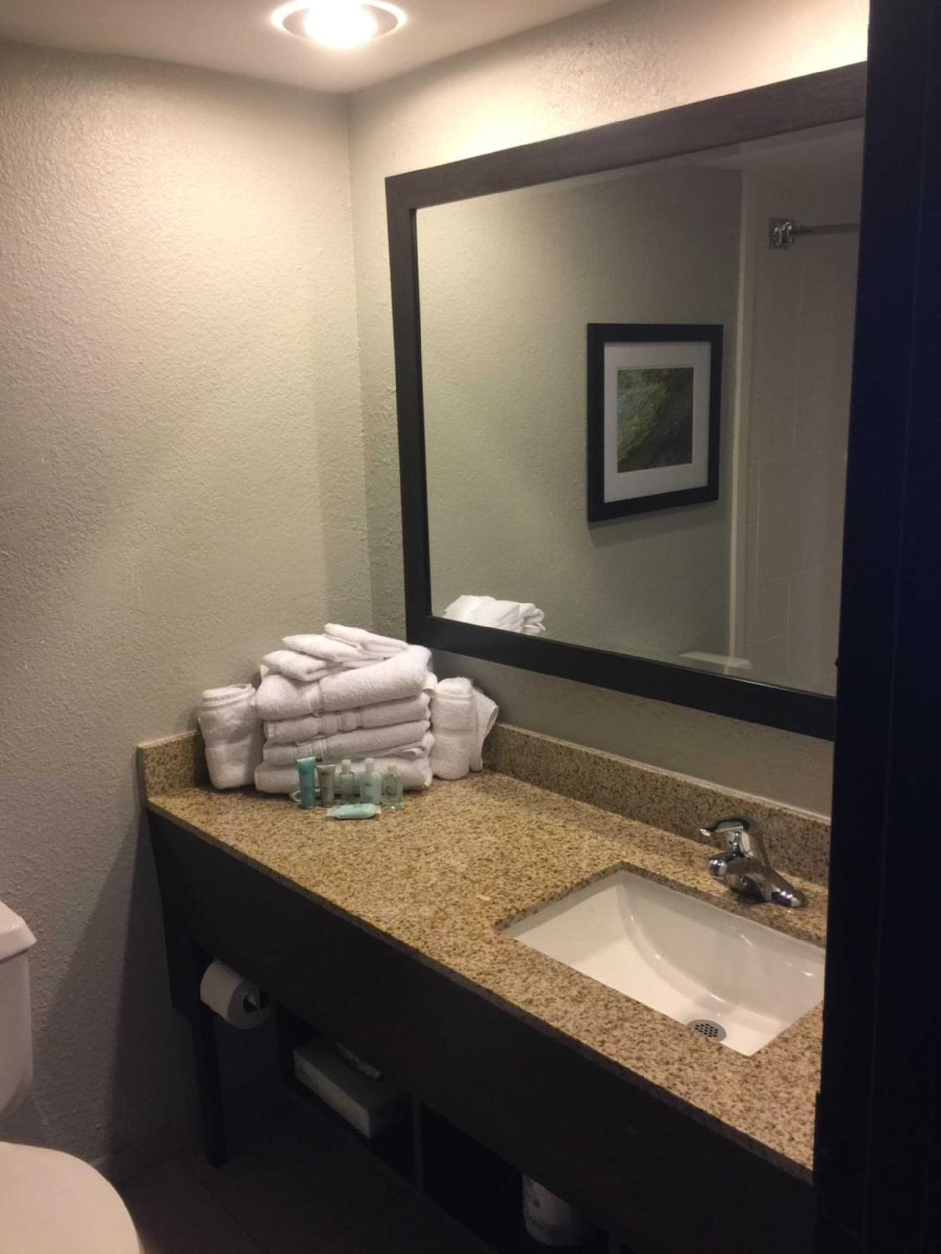 Wyndham Garden Hotel - Jacksonville property views in Jacksonville, FL — gallery photo 3
