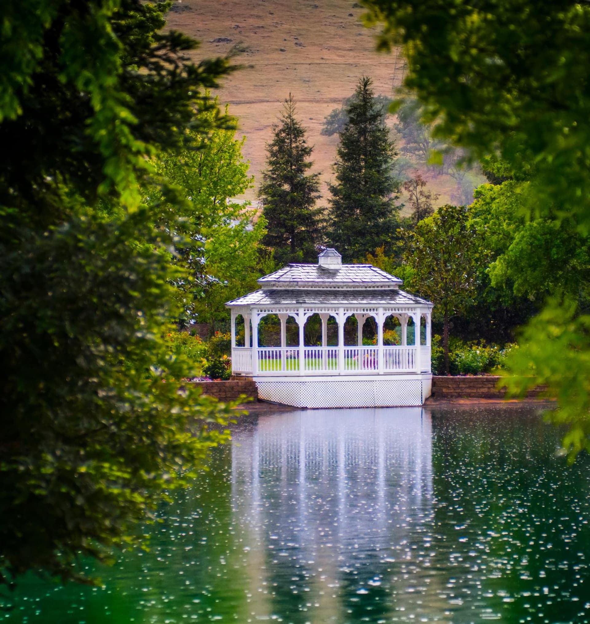 Wonder Valley Ranch Resort gallery photo in Pine Flat Lake — image 23