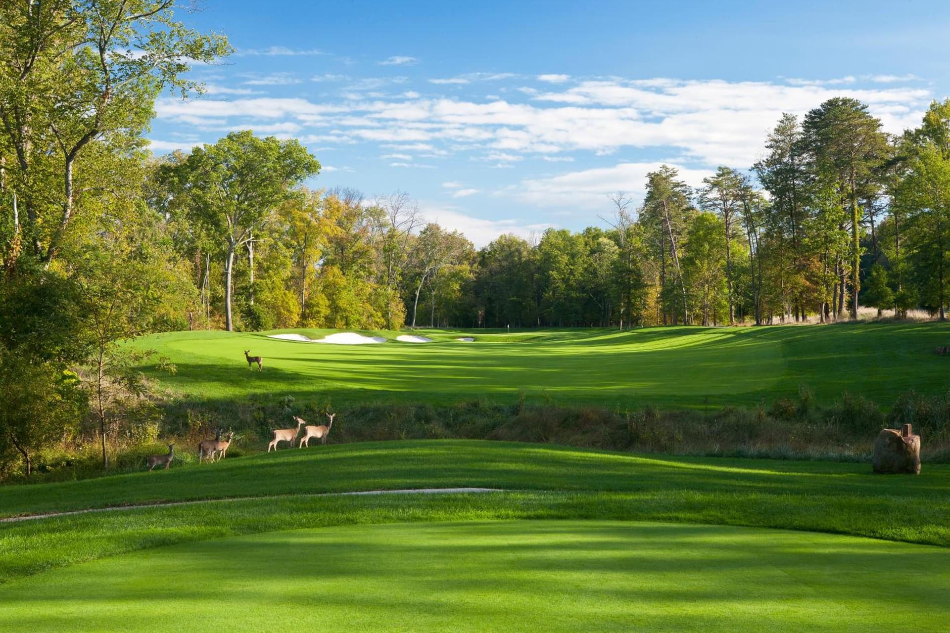 Lansdowne Resort and Spa gallery photo in Leesburg, VA — image 9