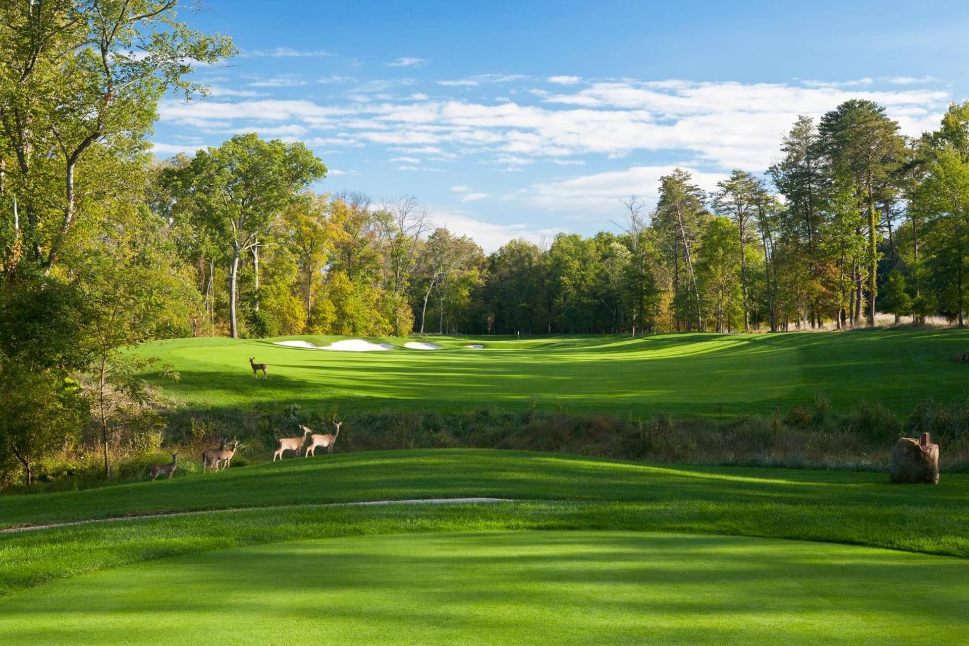 Lansdowne Resort and Spa gallery photo in Leesburg, VA — image 11