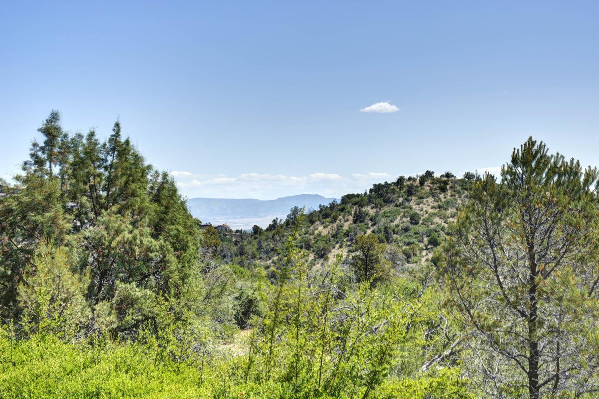Forest Villas Hotel gallery photo in Prescott, AZ — image 179