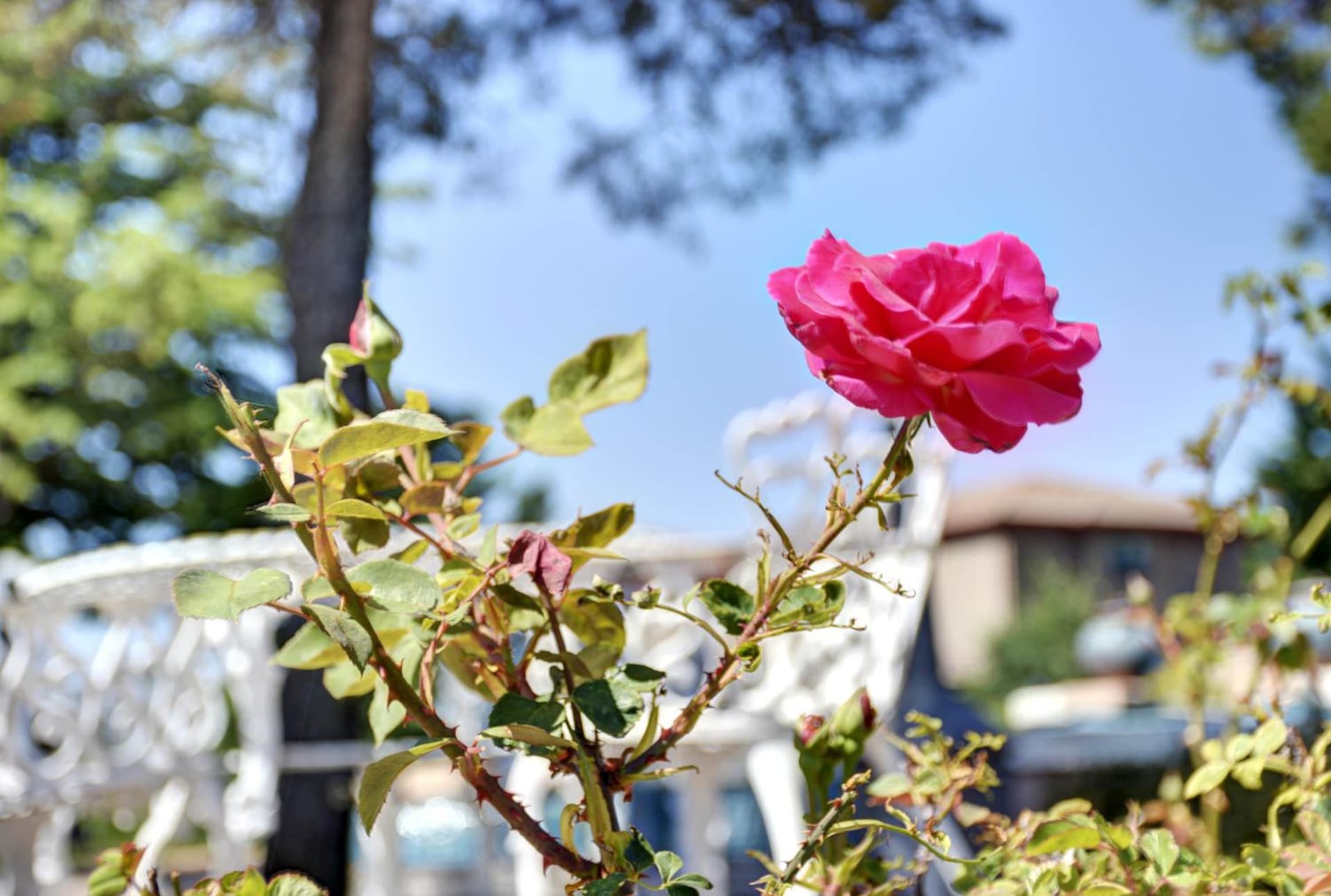 Forest Villas Hotel gallery photo in Prescott, AZ — image 115