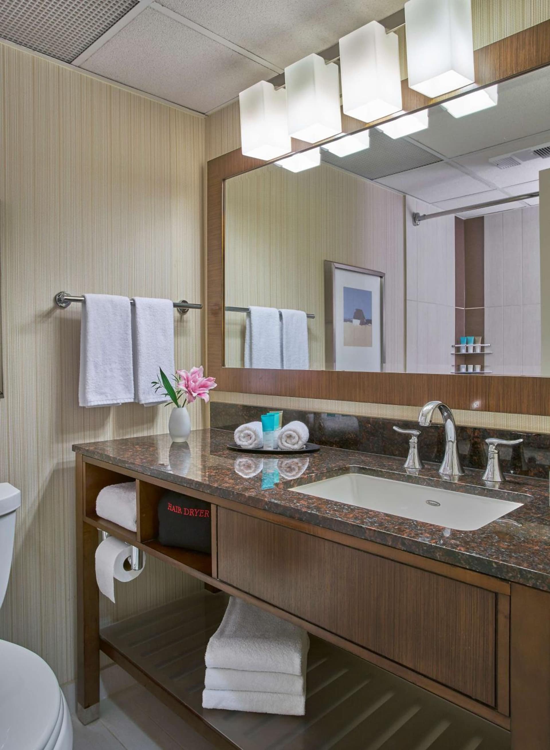 Hyatt Regency Milwaukee gallery photo in Milwaukee, WI — image 5