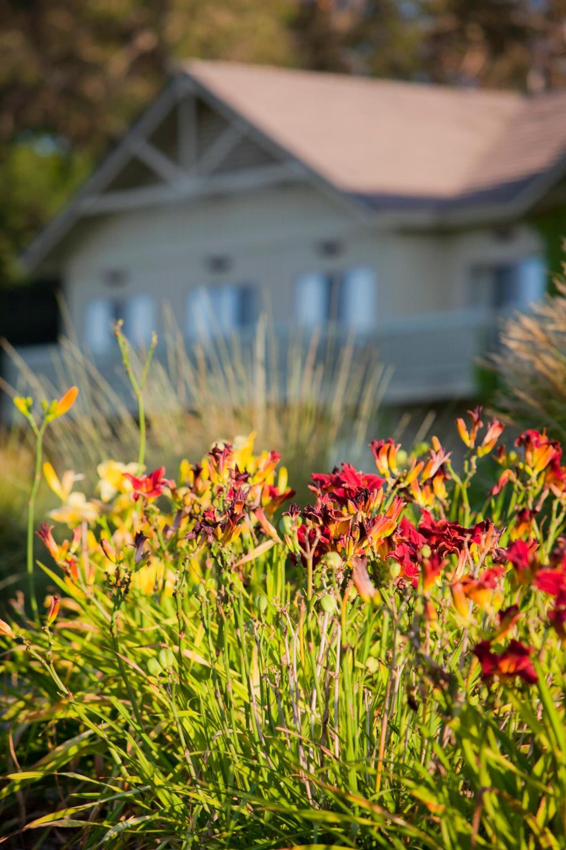 Temecula Creek Inn gallery photo in Temecula, CA — image 8