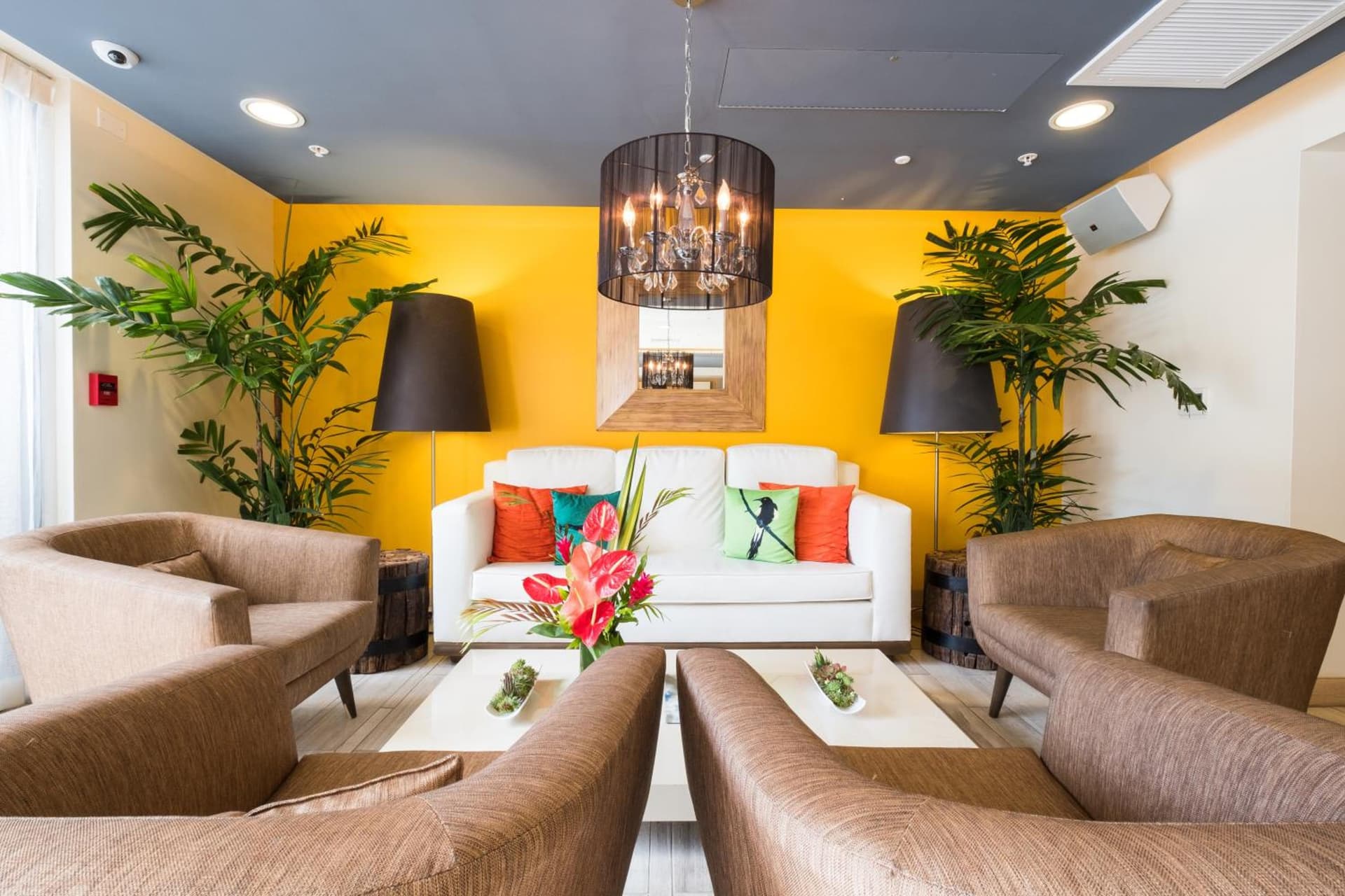 VIVE Hotel Waikiki gallery photo in Honolulu, HI — image 13