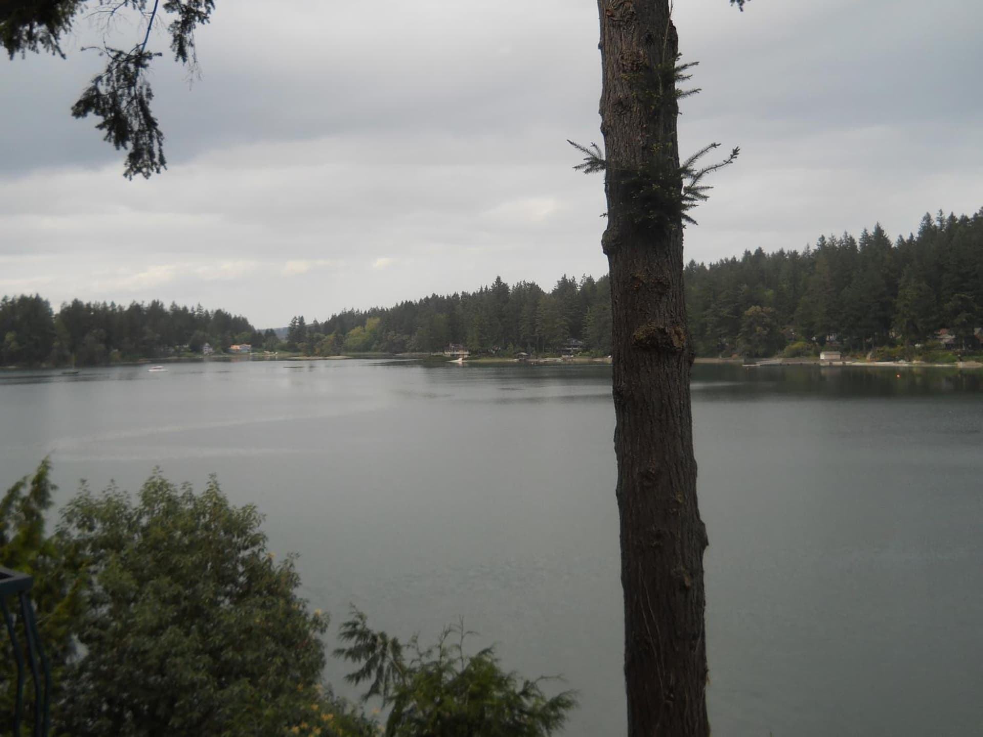 Oyster Bay Inn & Suites gallery photo in Bremerton, WA — image 5